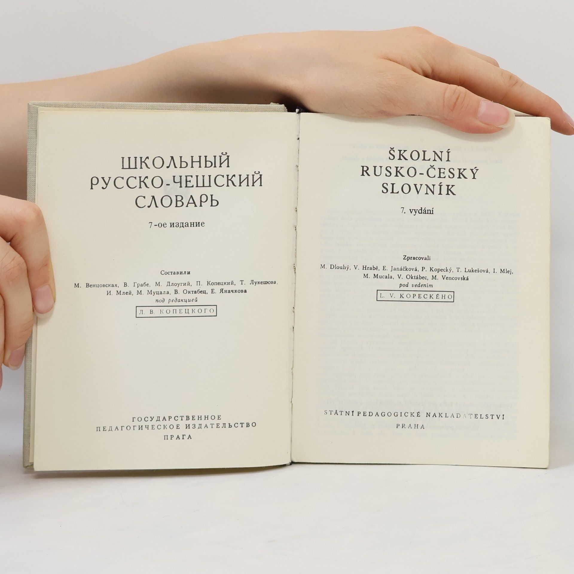 Collectif d'auteurs Školní rusko-český slovník