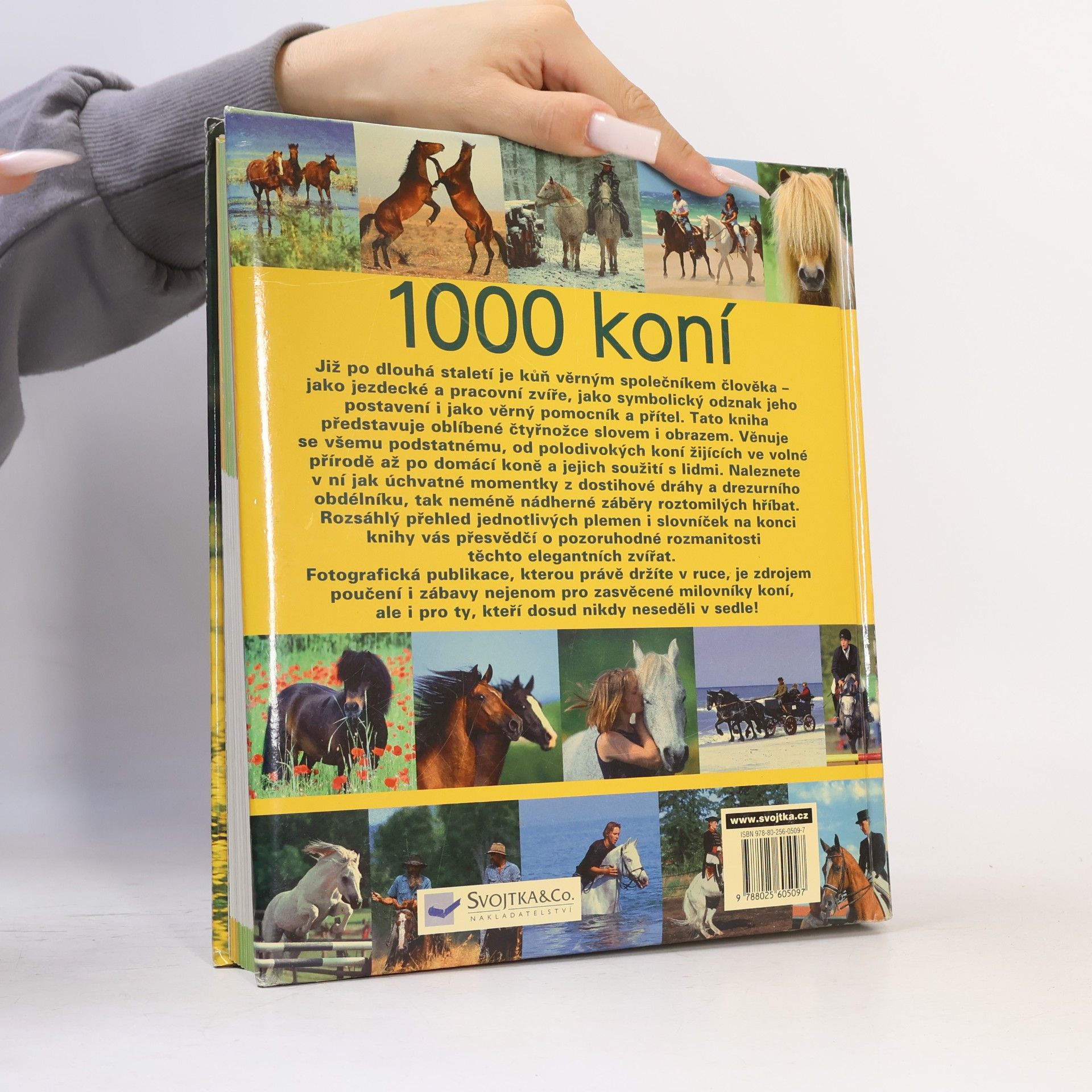 Ulrike Schöber 1000 koní