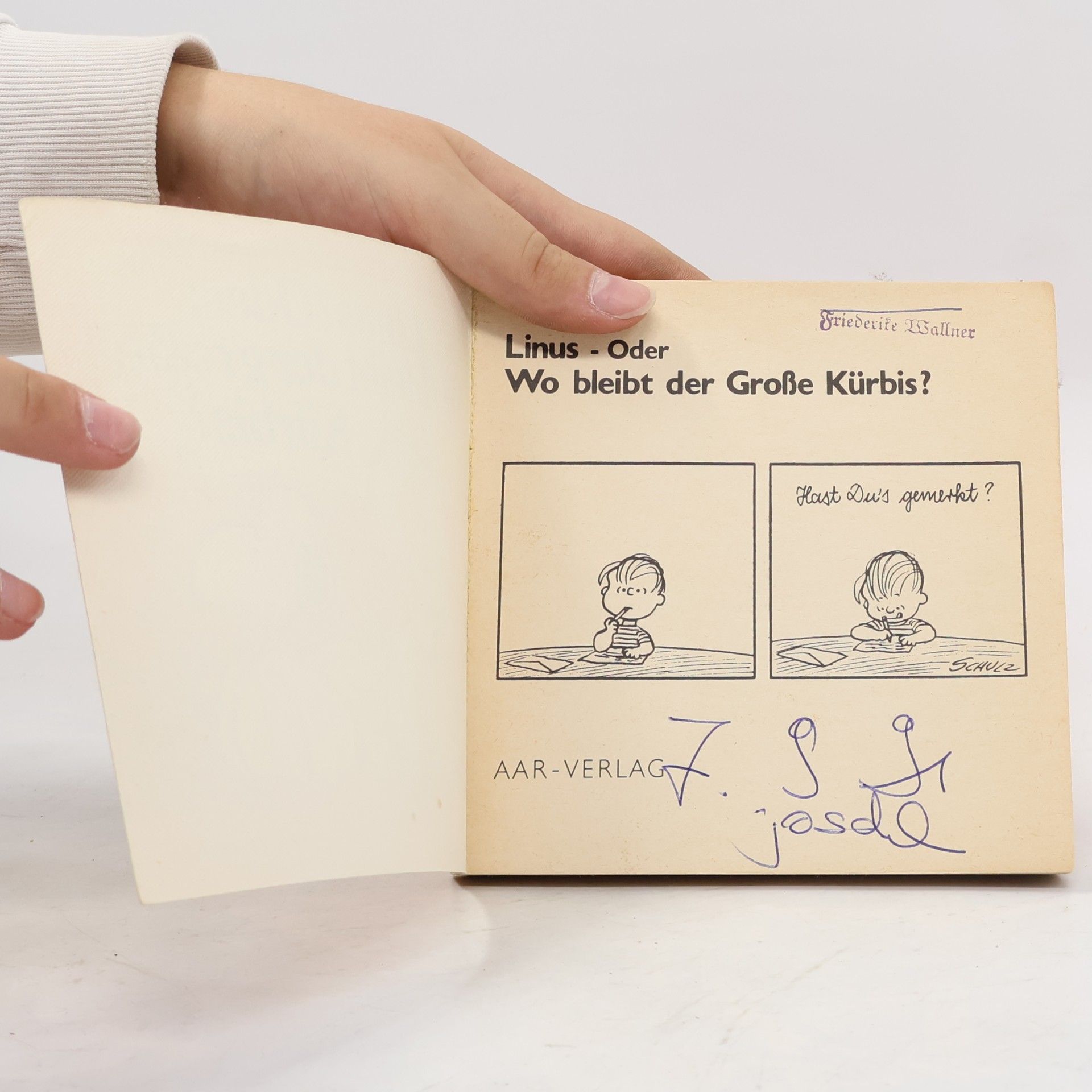 Charles Shulz Peanuts - 15: Linus, oder wo bleibt der große Kürbis?