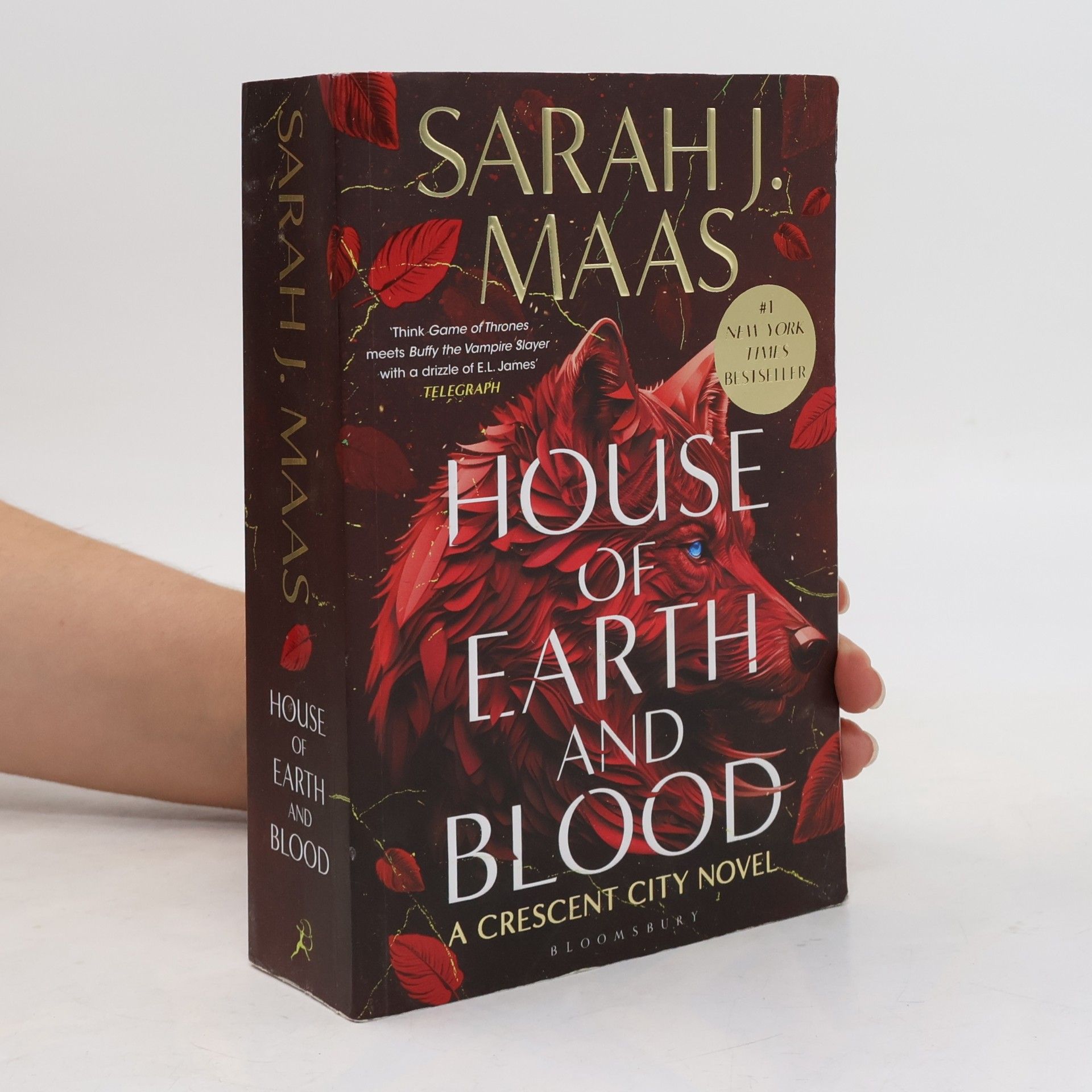 House of Earth and Blood