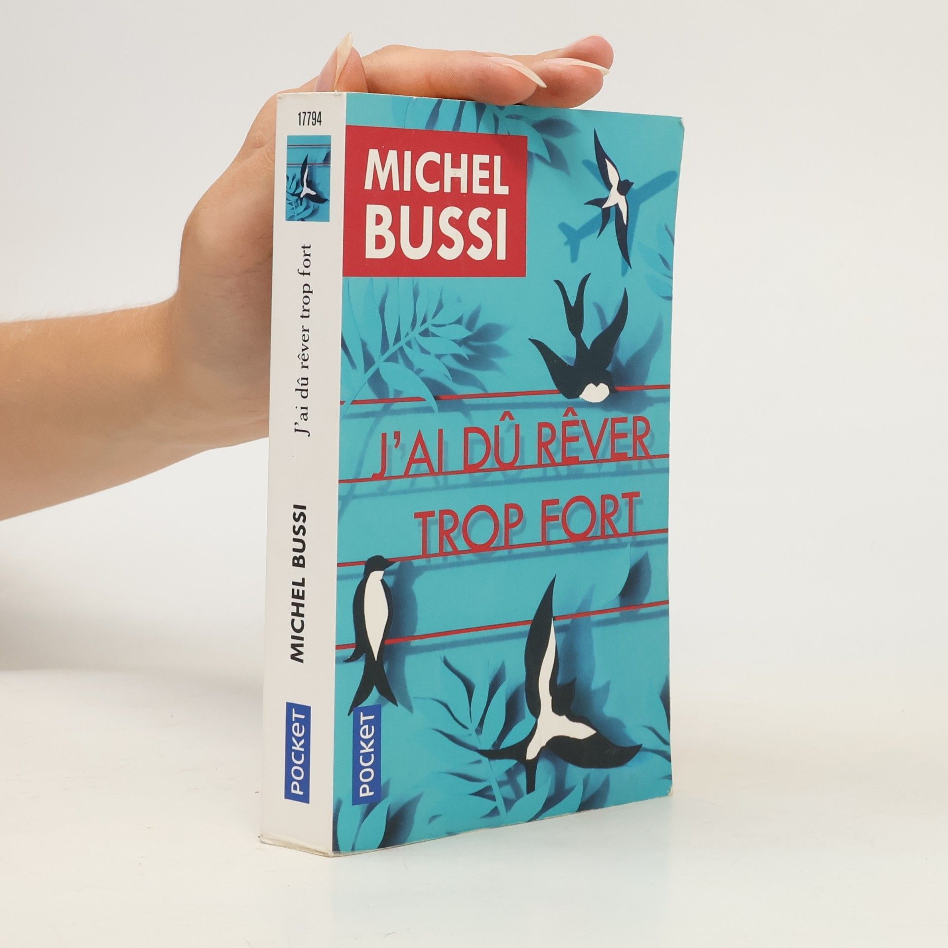 Michel Bussi J'ai dû rêver trop fort