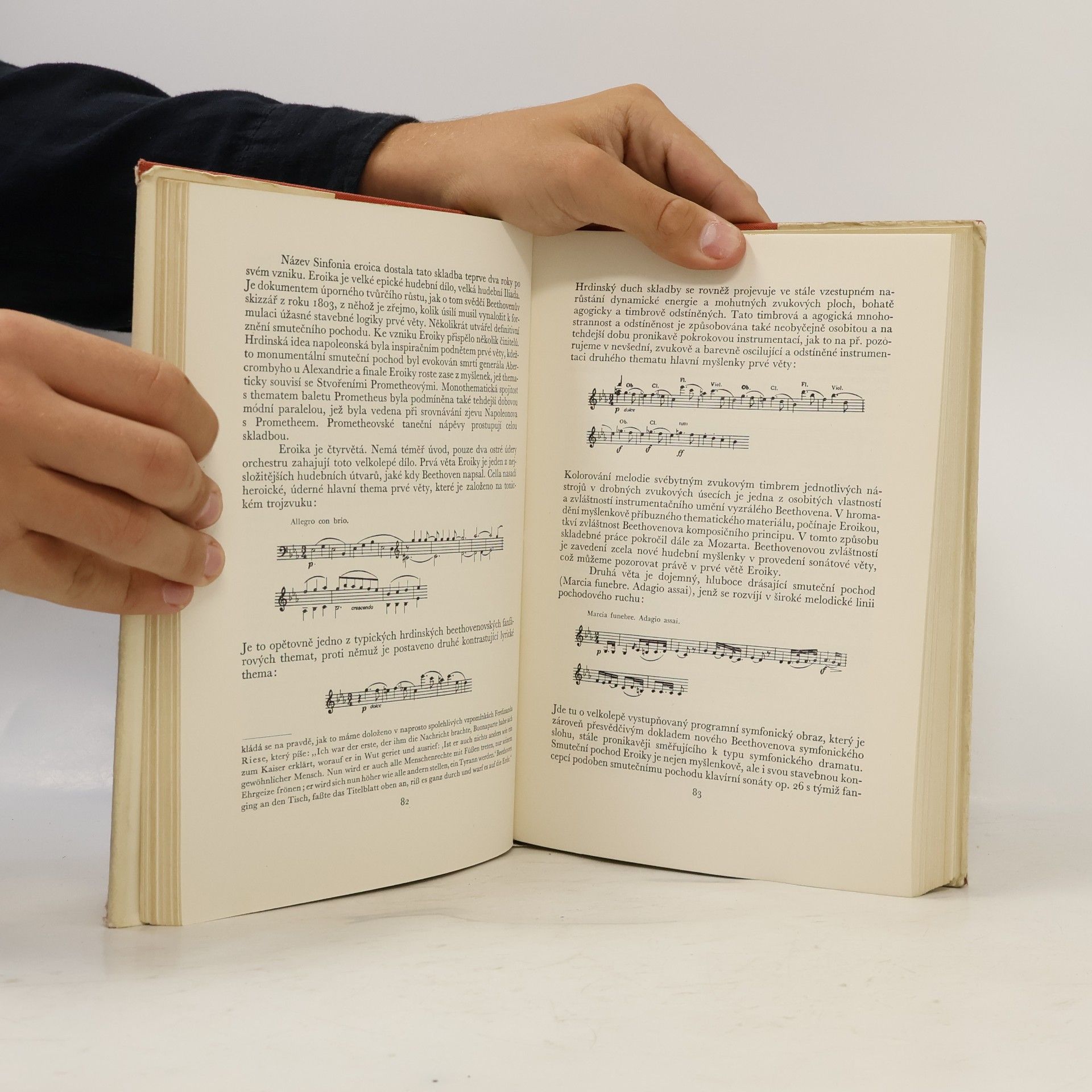 Jan Racek Beethoven