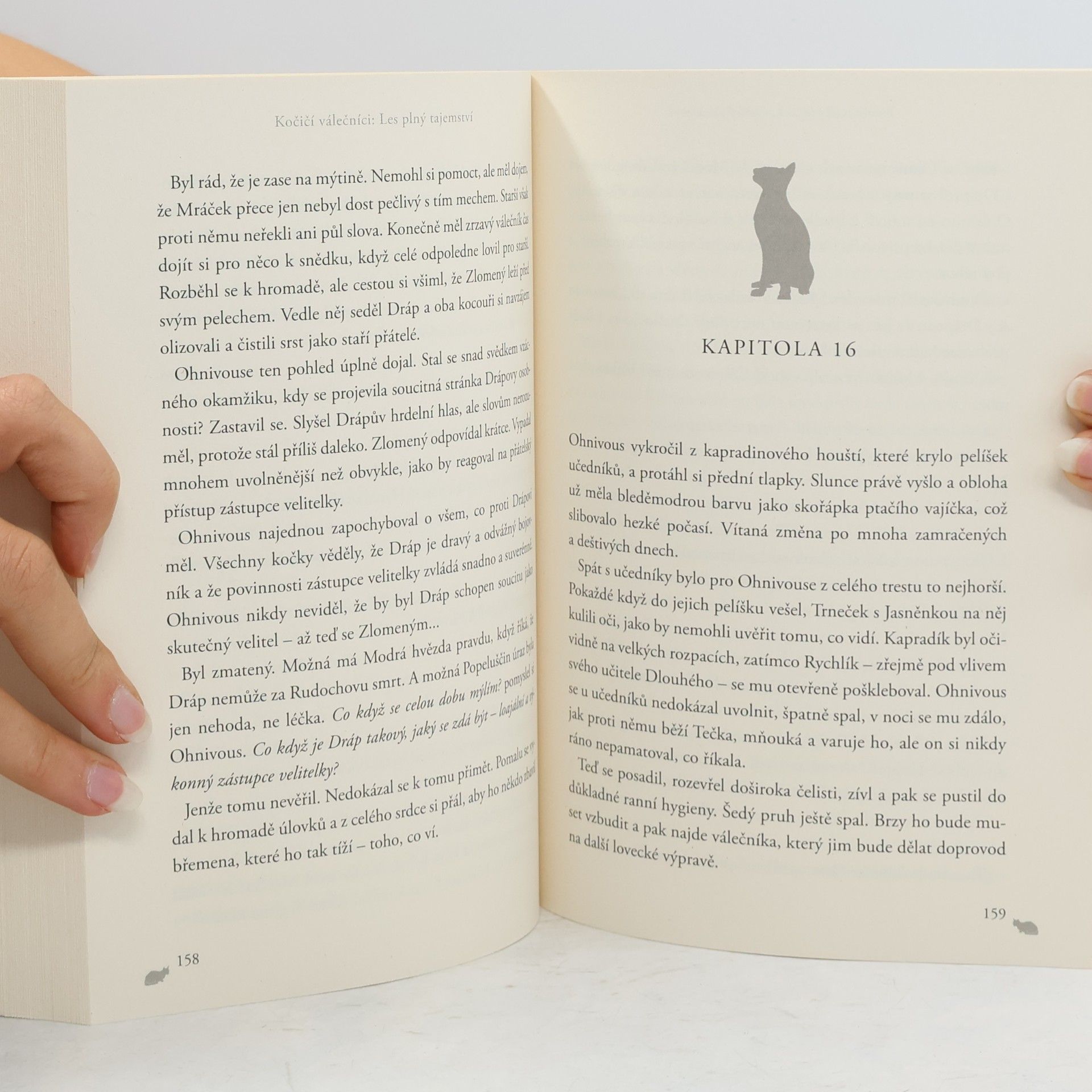 Erin Hunter Les plný tajemství. Kočičí válečníci