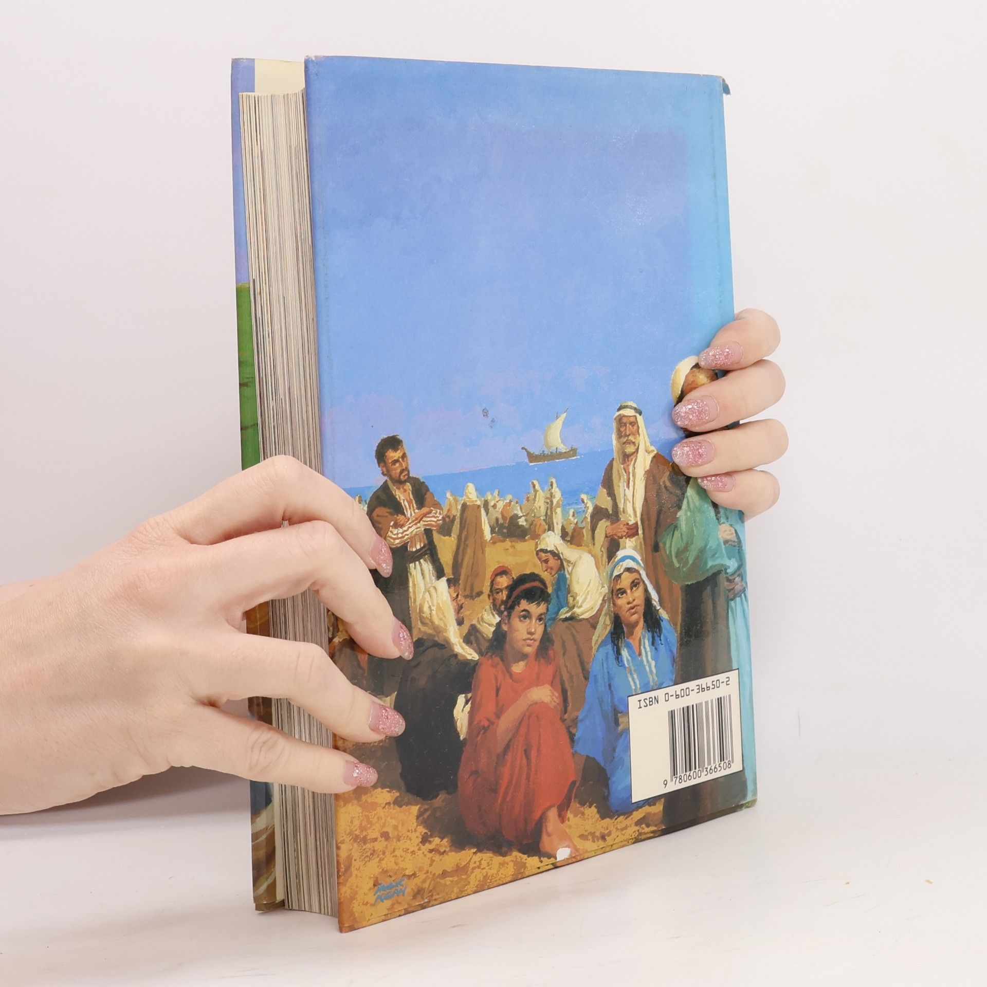 David Murray The All-Colour Children's Bible