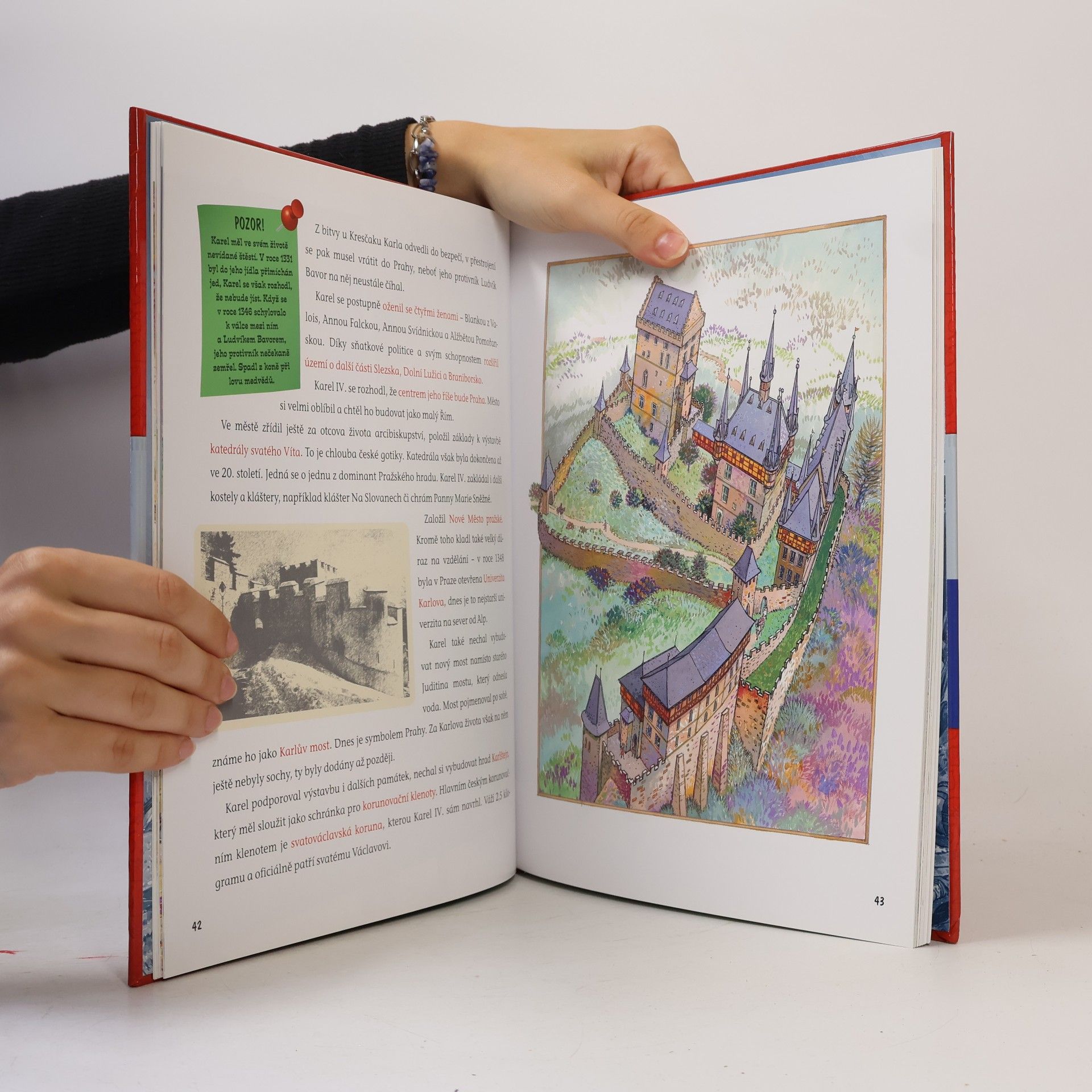 Autorenkollektiv Dějiny českých zemí - Dějiny, panovníci, otázky