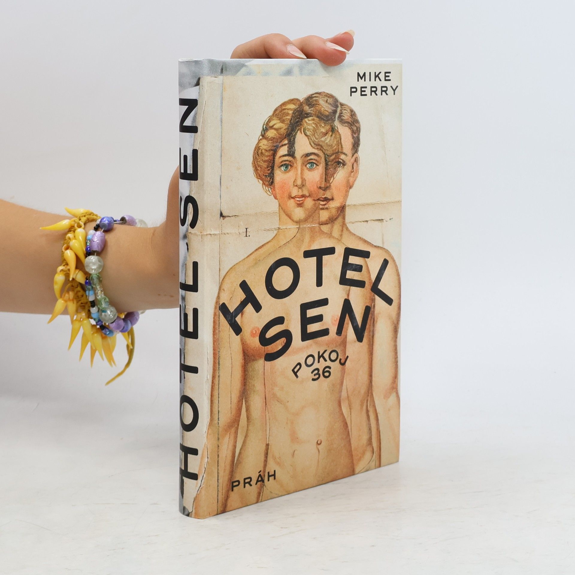 Mike Perry Hotel Sen : pokoj 36