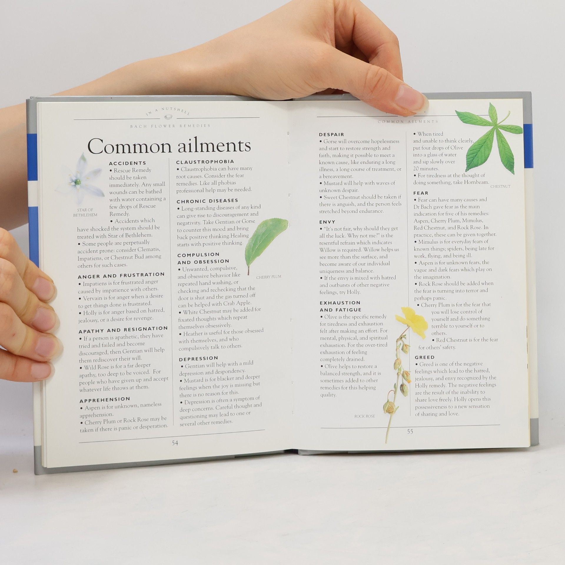 Non Shaw Bach Flower Remedies