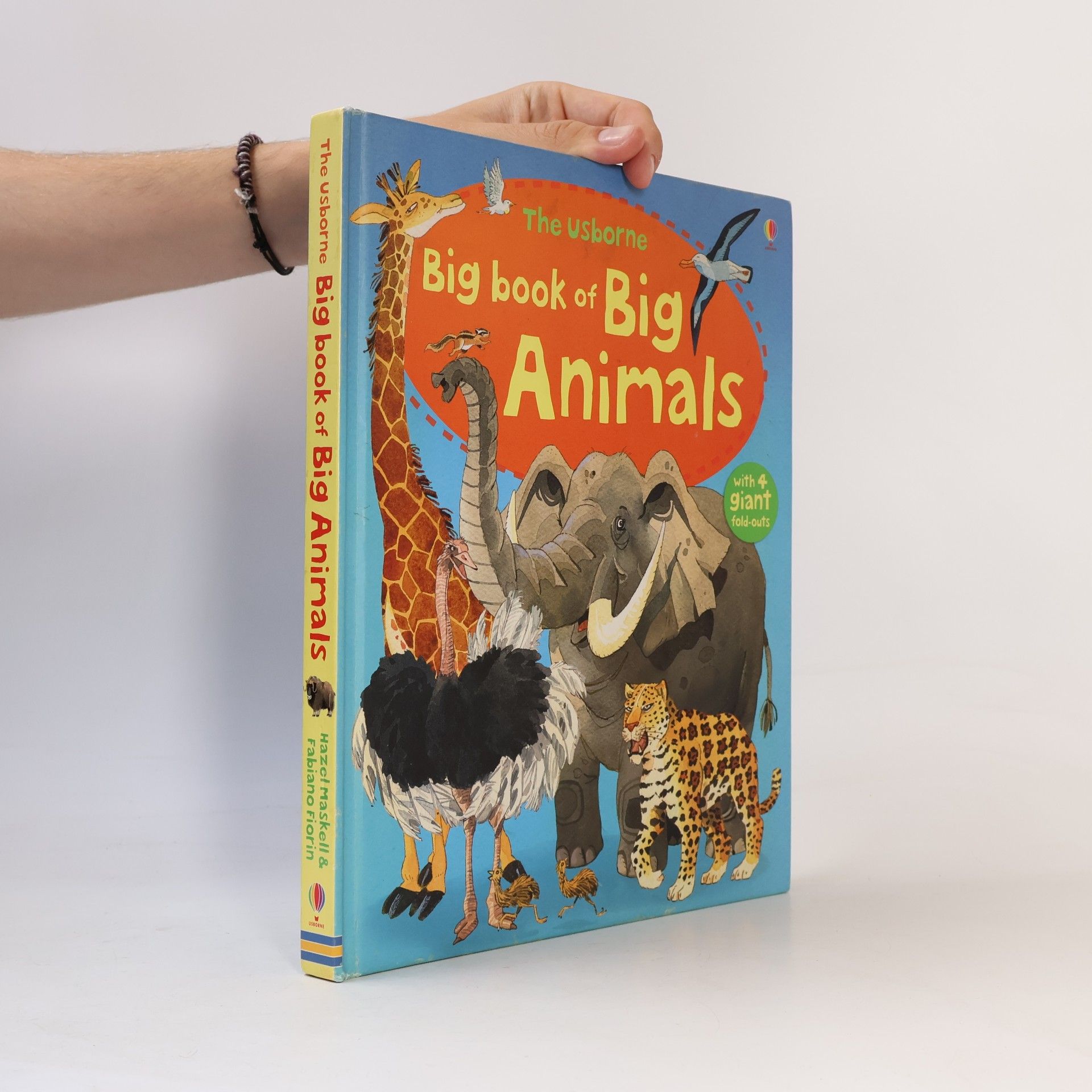 Fabiano Fiorin Big Book of Big Animals
