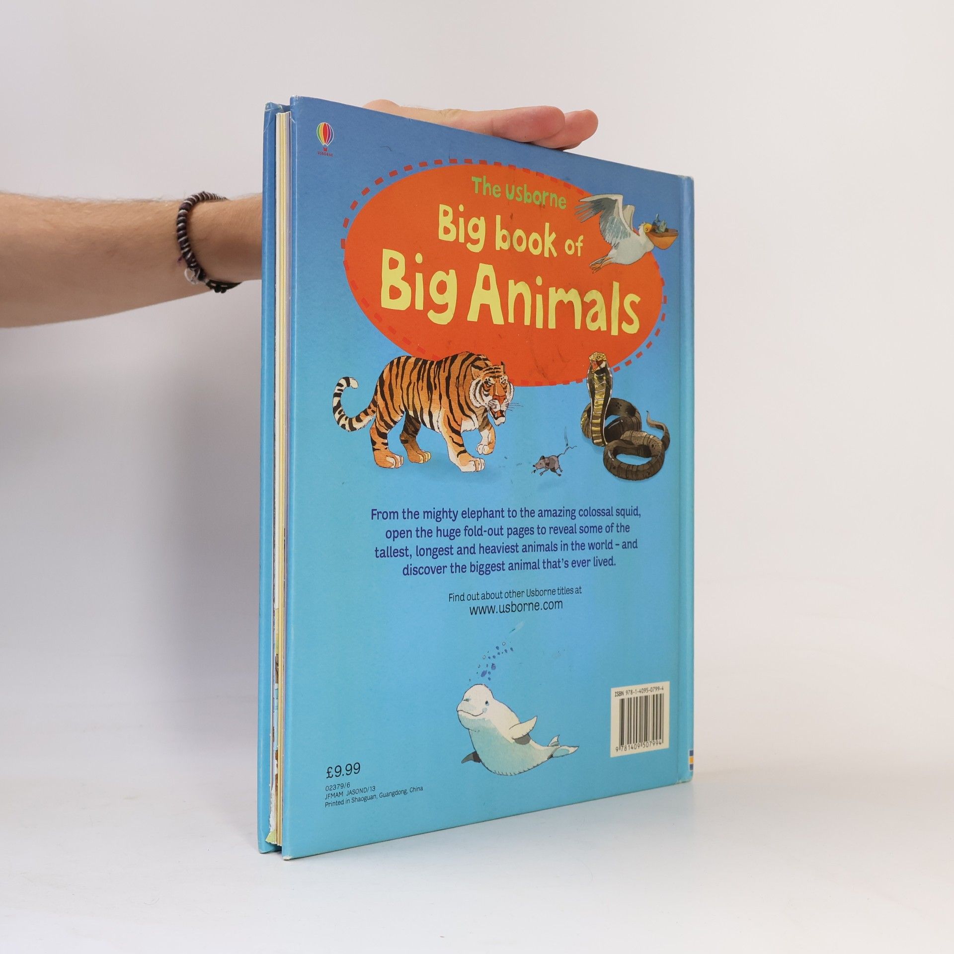 Hazel Maskell Big Book of Big Animals