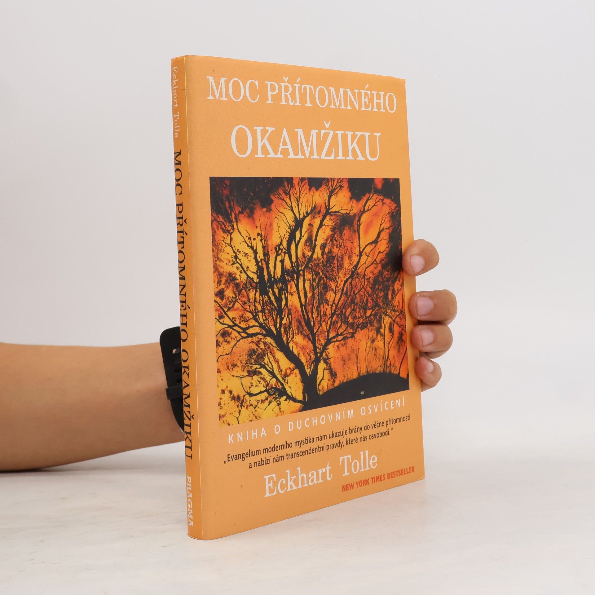 Eckhart Tolle Moc přítomného okamžiku