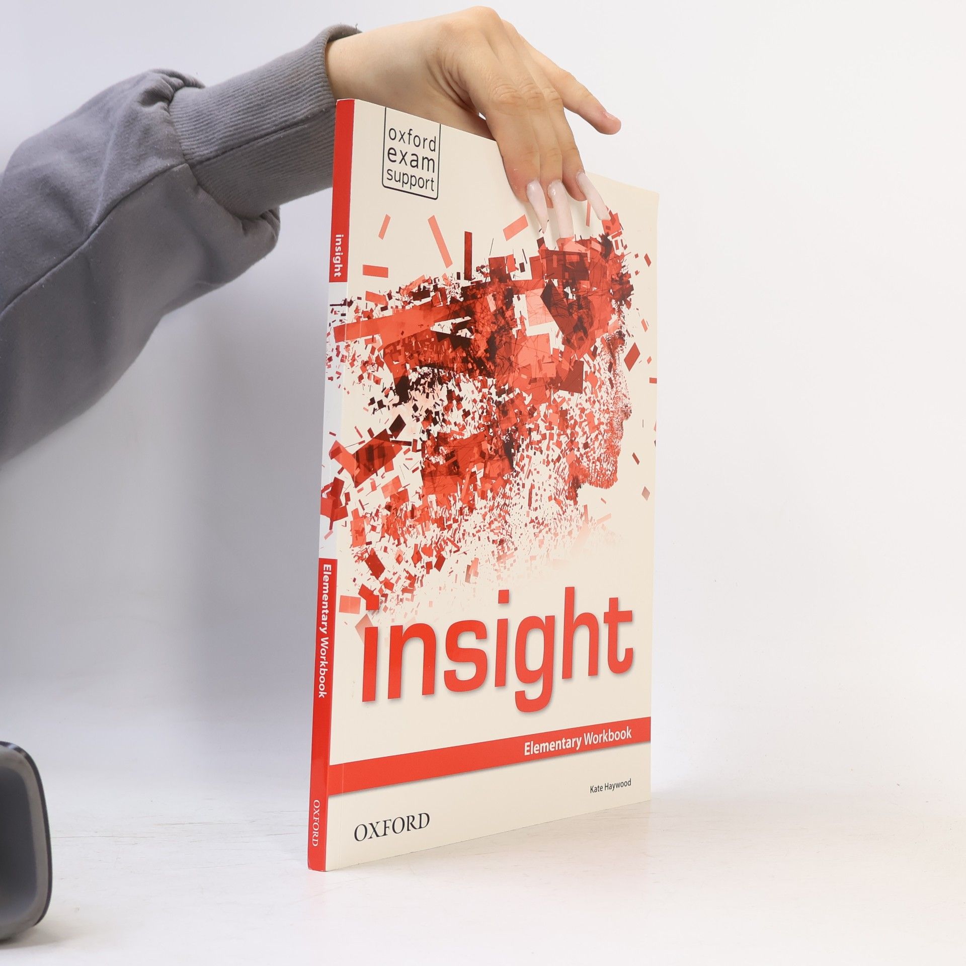 Kate Haywood Insight Elementary Workbook