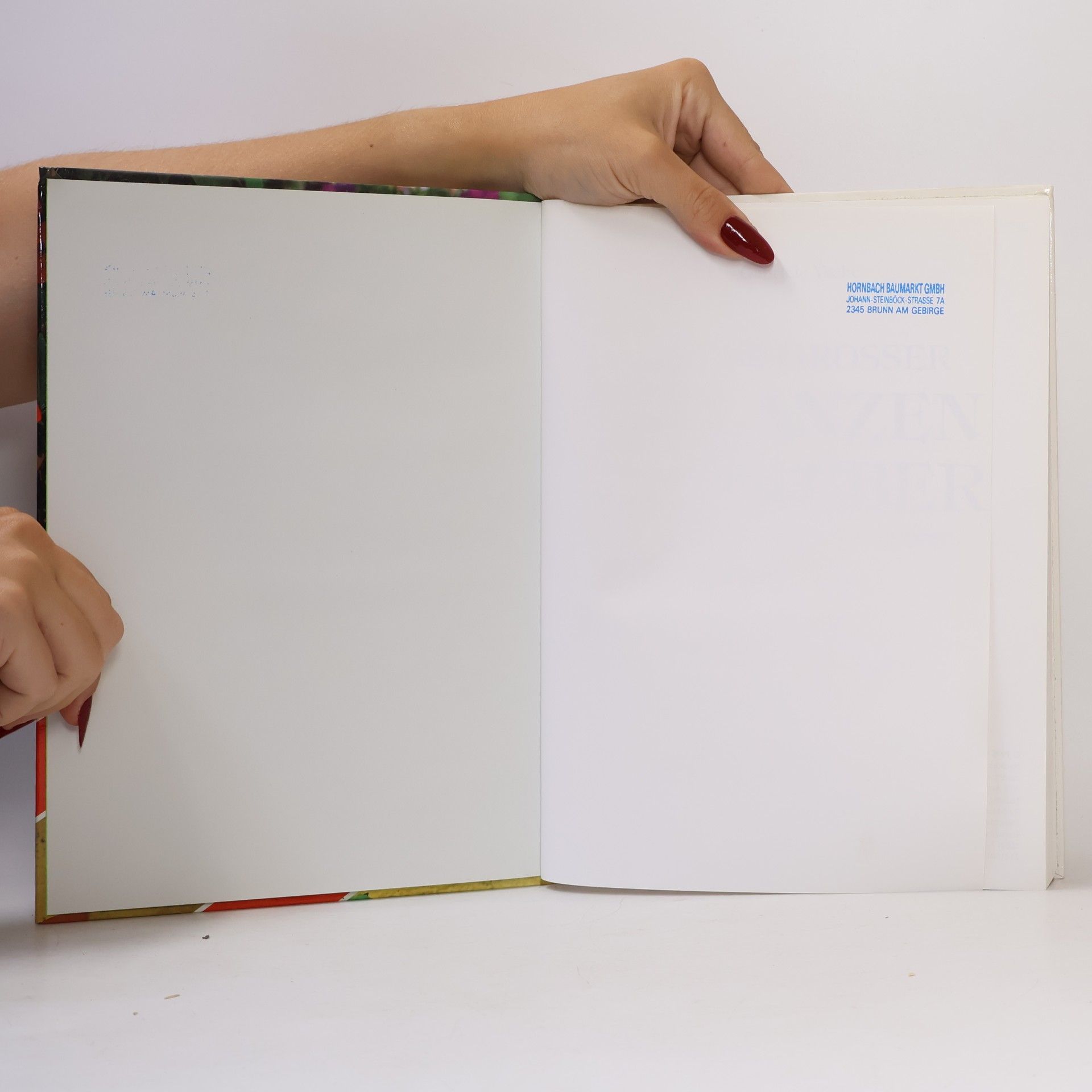 Autorenkollektiv Das große Buch der Pflanzenkunde