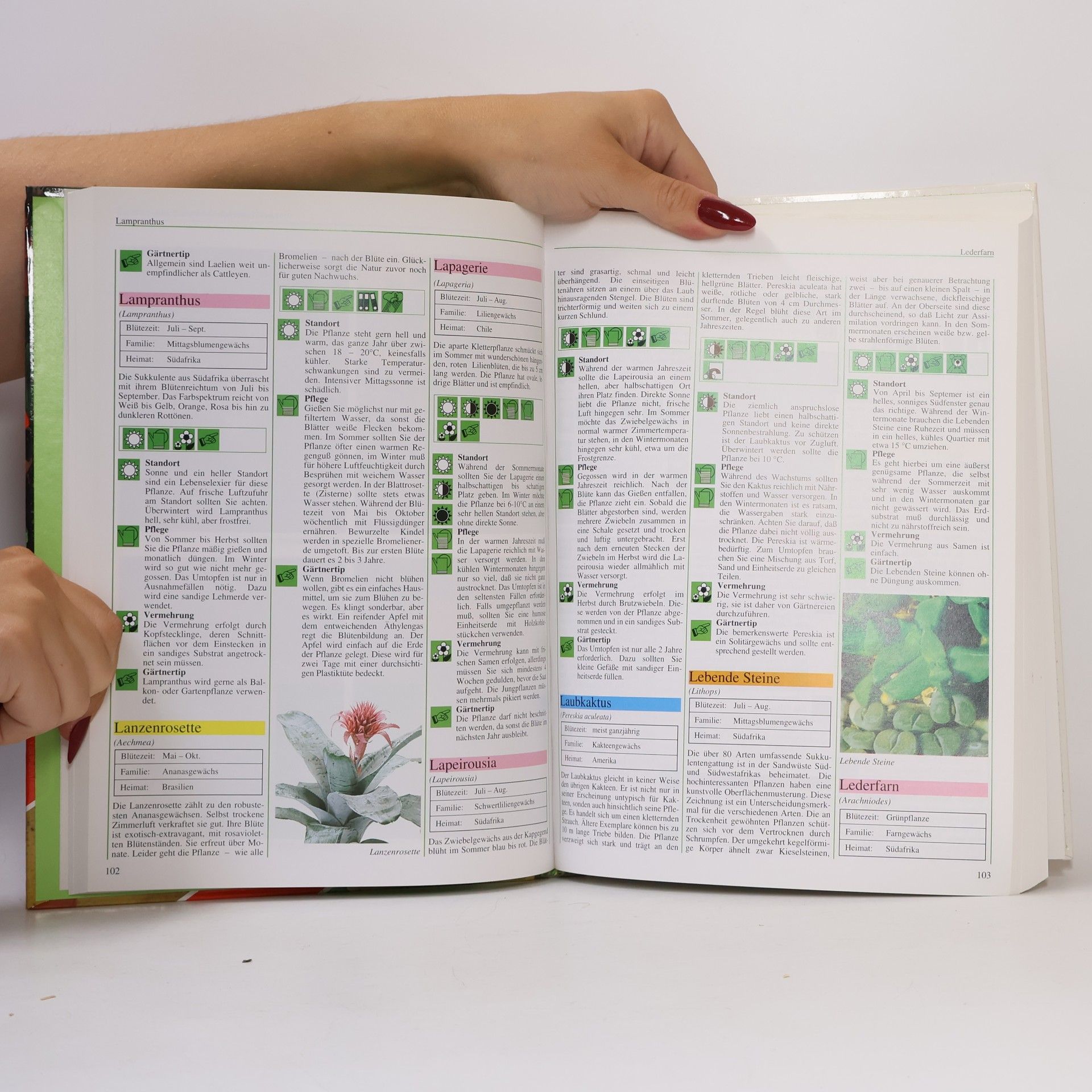 Autorenkollektiv Das große Buch der Pflanzenkunde
