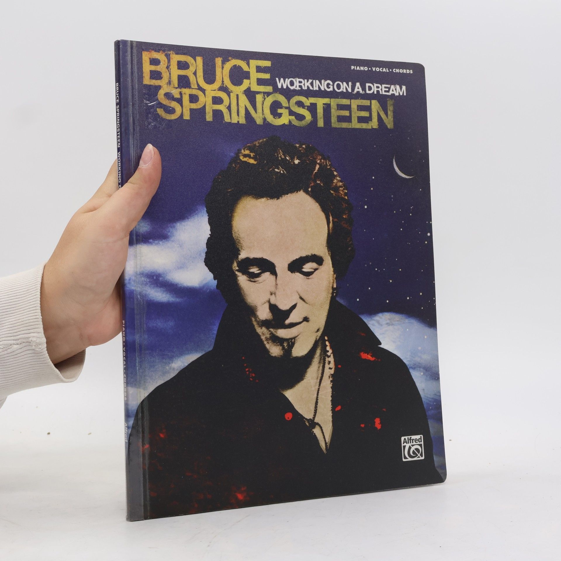 Bruce Springsteen Working on a Dream
