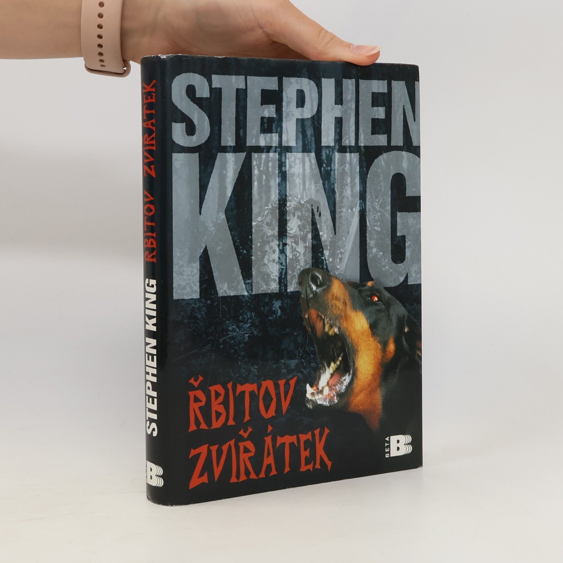 Stephen King Řbitov zviřátek
