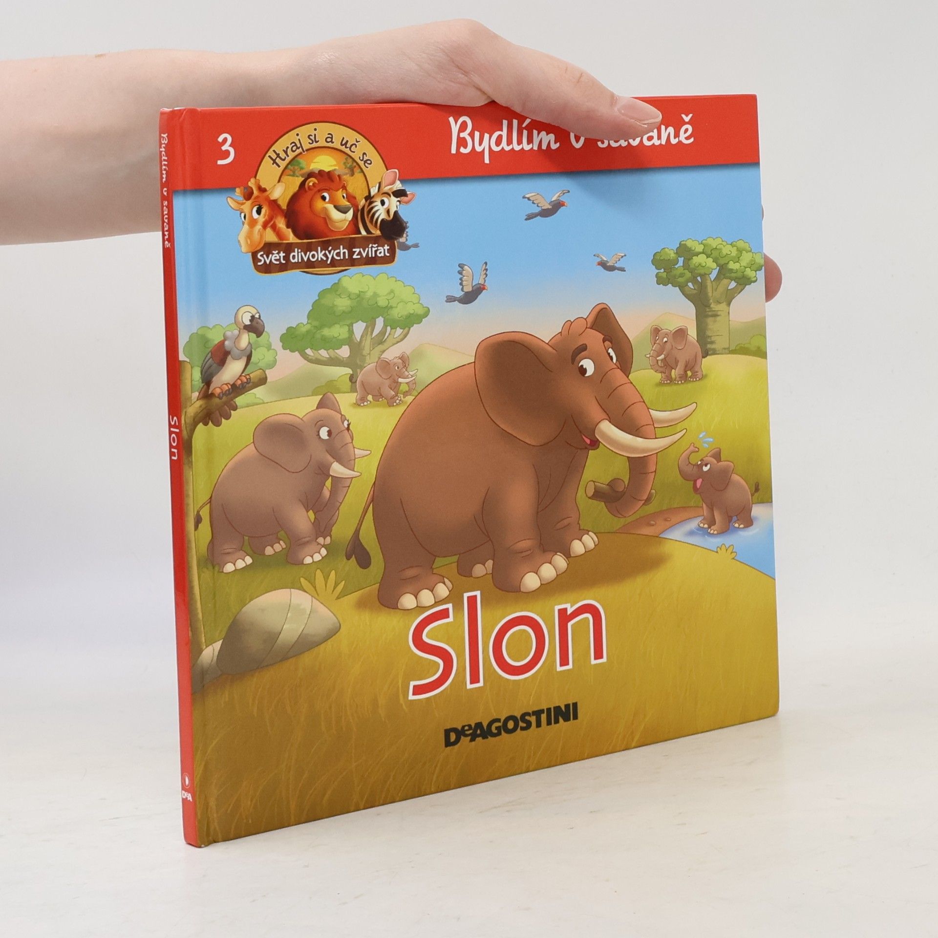 Kolektiv autorů Bydlím v savaně 3. Slon