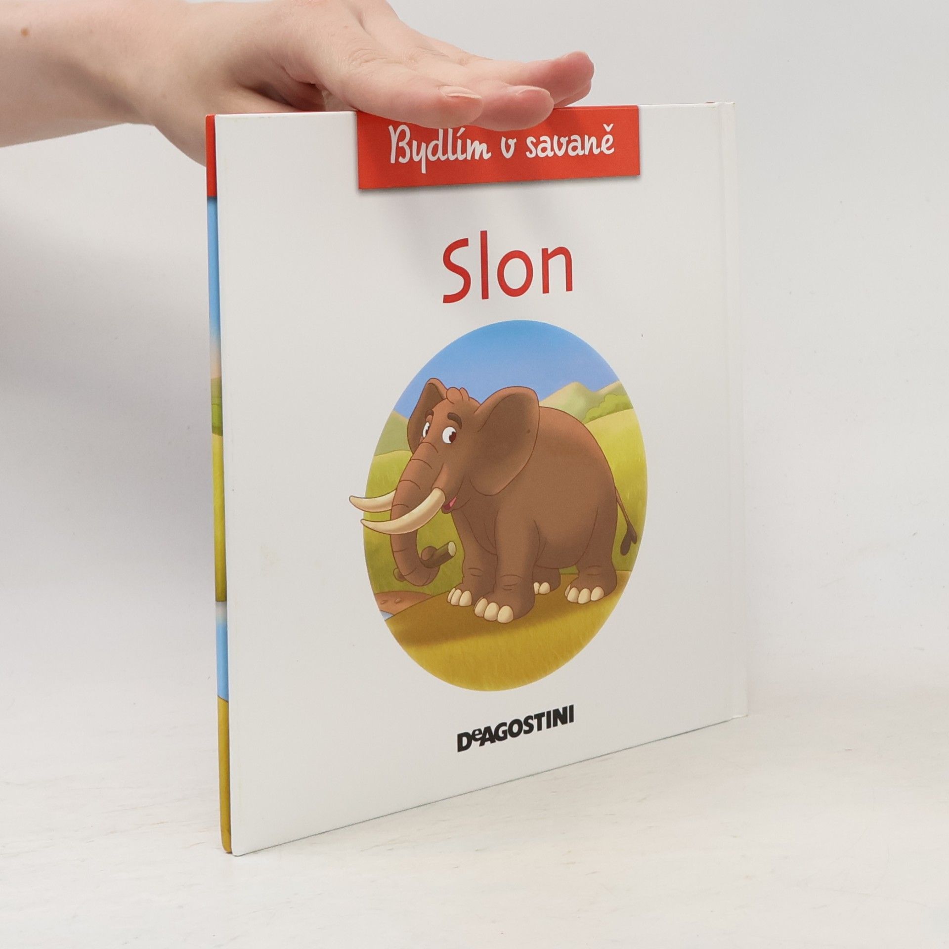 Kolektiv autorů Bydlím v savaně 3. Slon