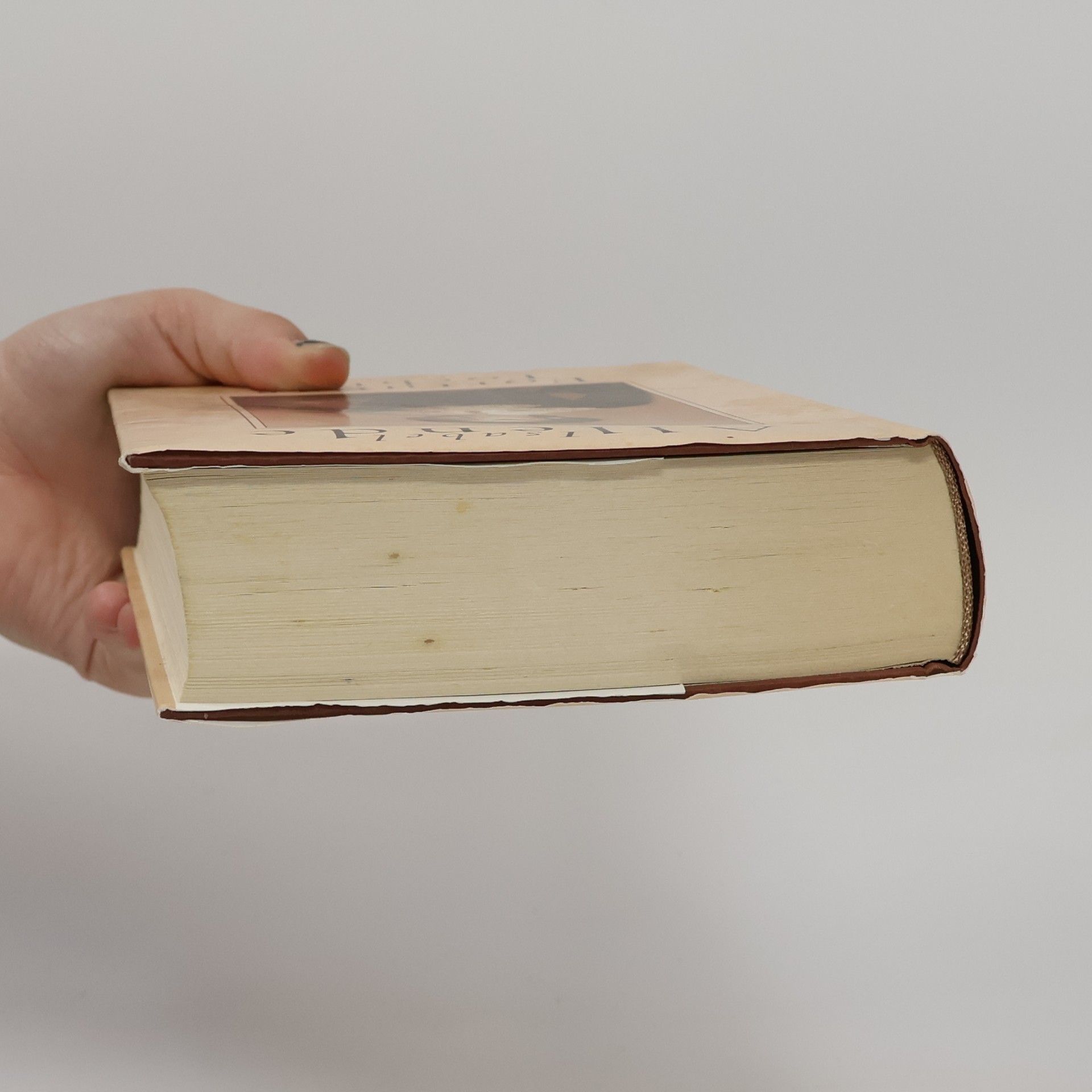 Isabel Allende Llona Fortunas Tochter