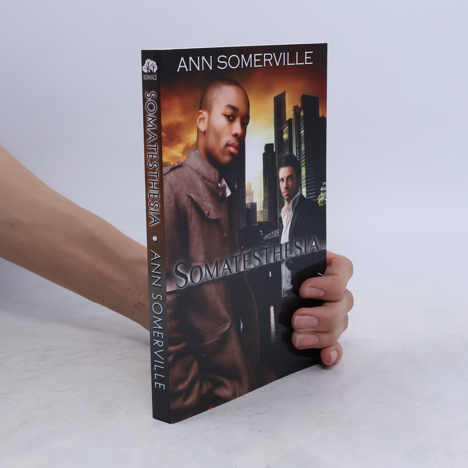 Annie Somerville Somatesthesia
