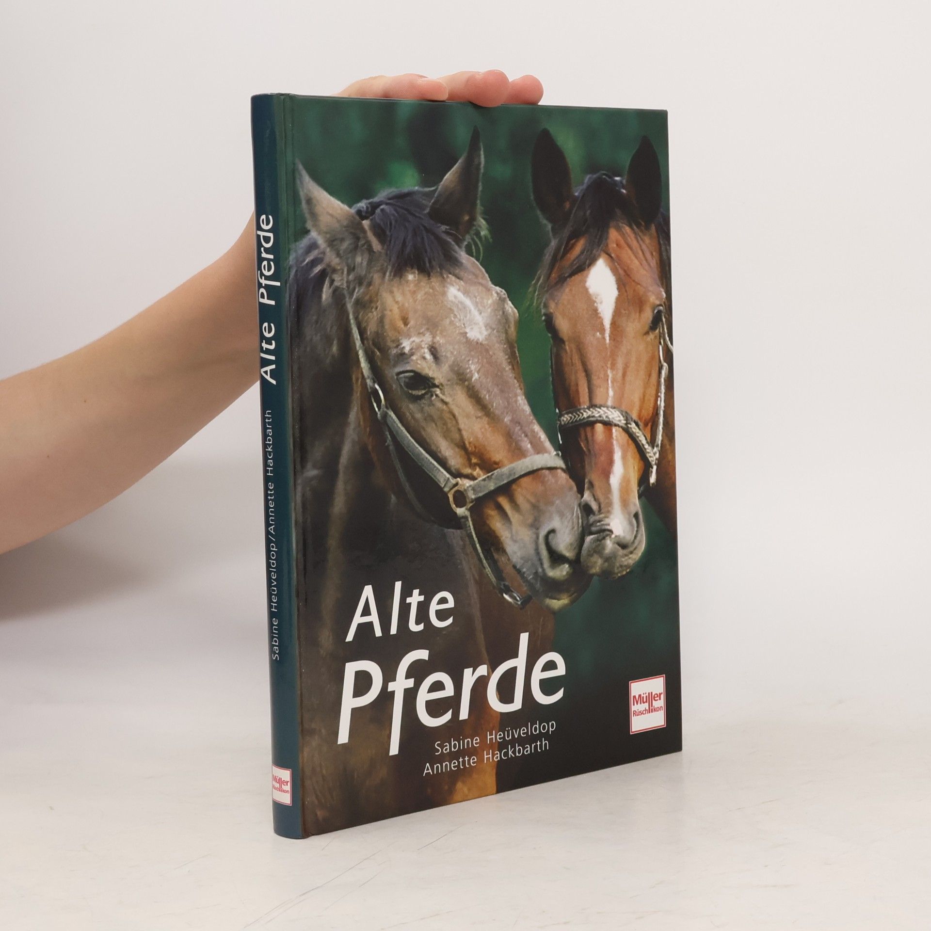 Sabine Heüveldop Alte Pferde
