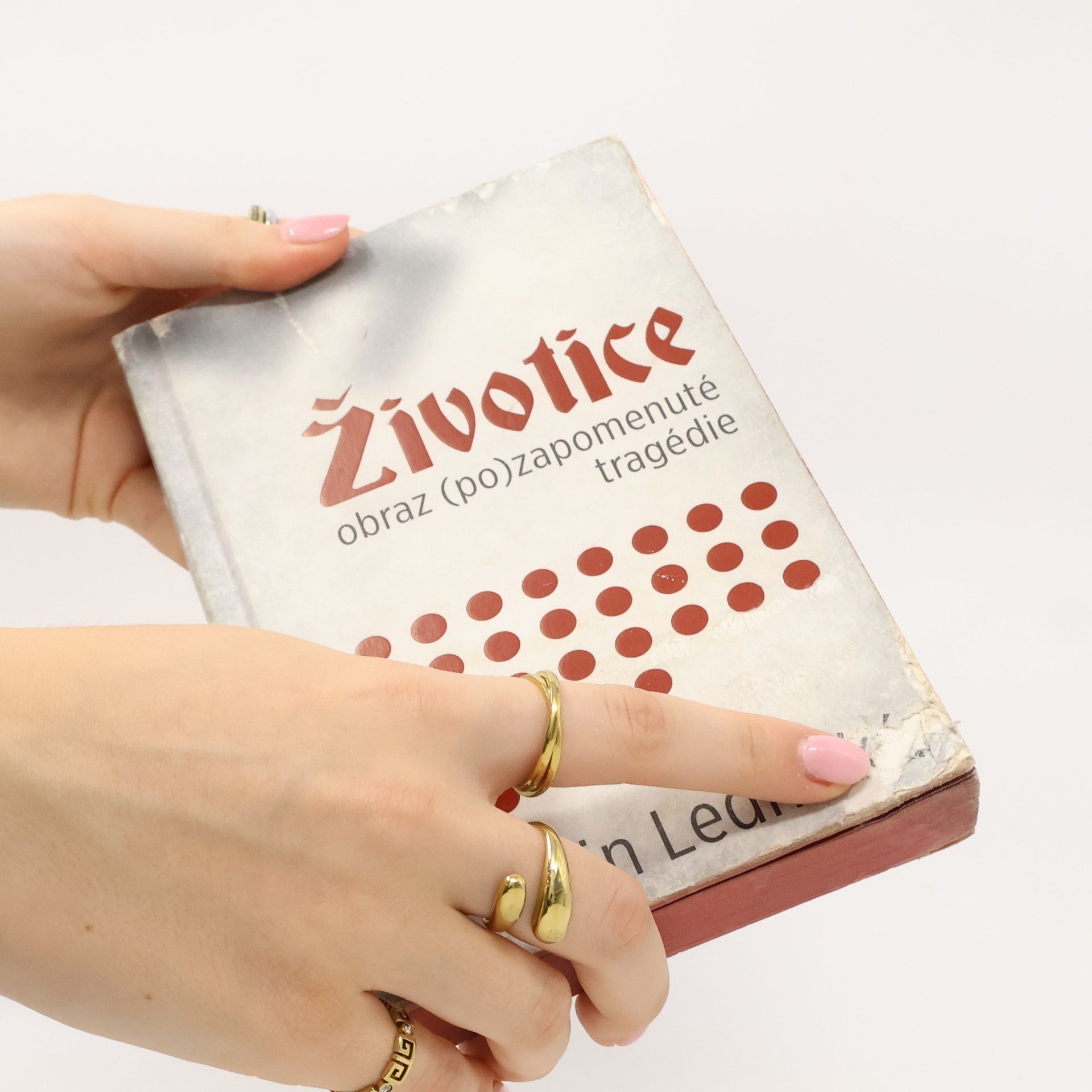 Karin Lednická Životice