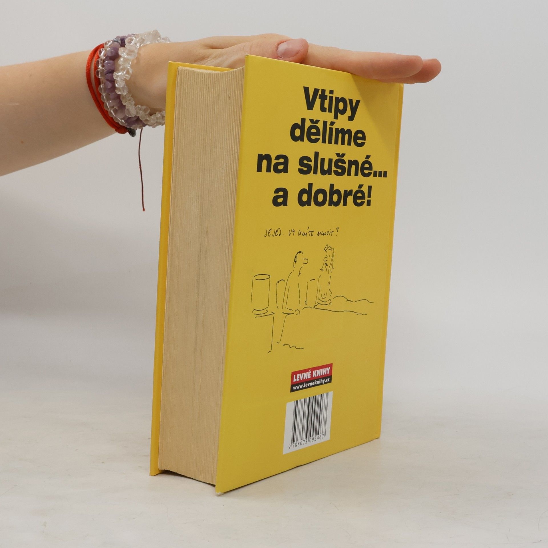 Various authors Špalíček dobrých českých vtipů