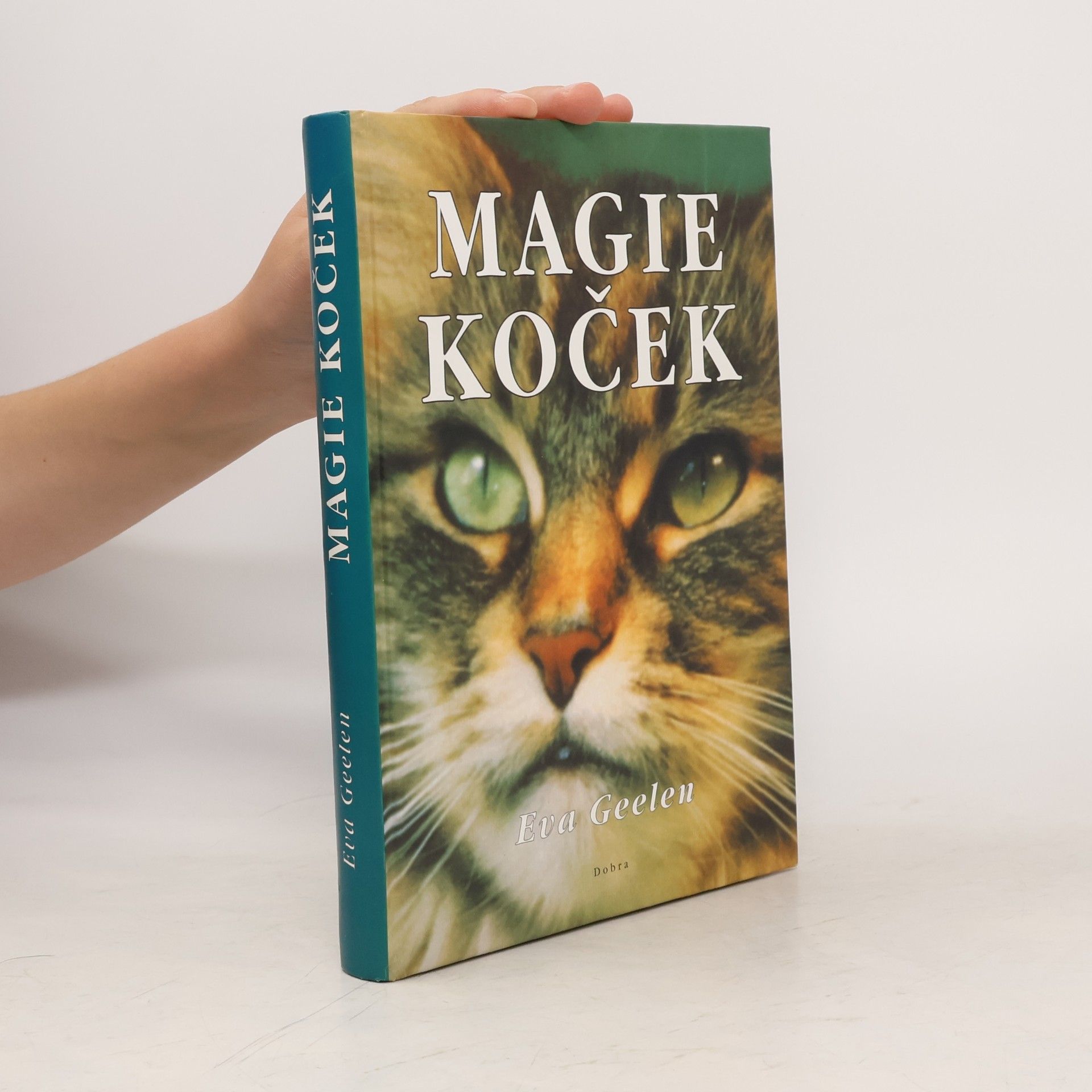 Magie koček