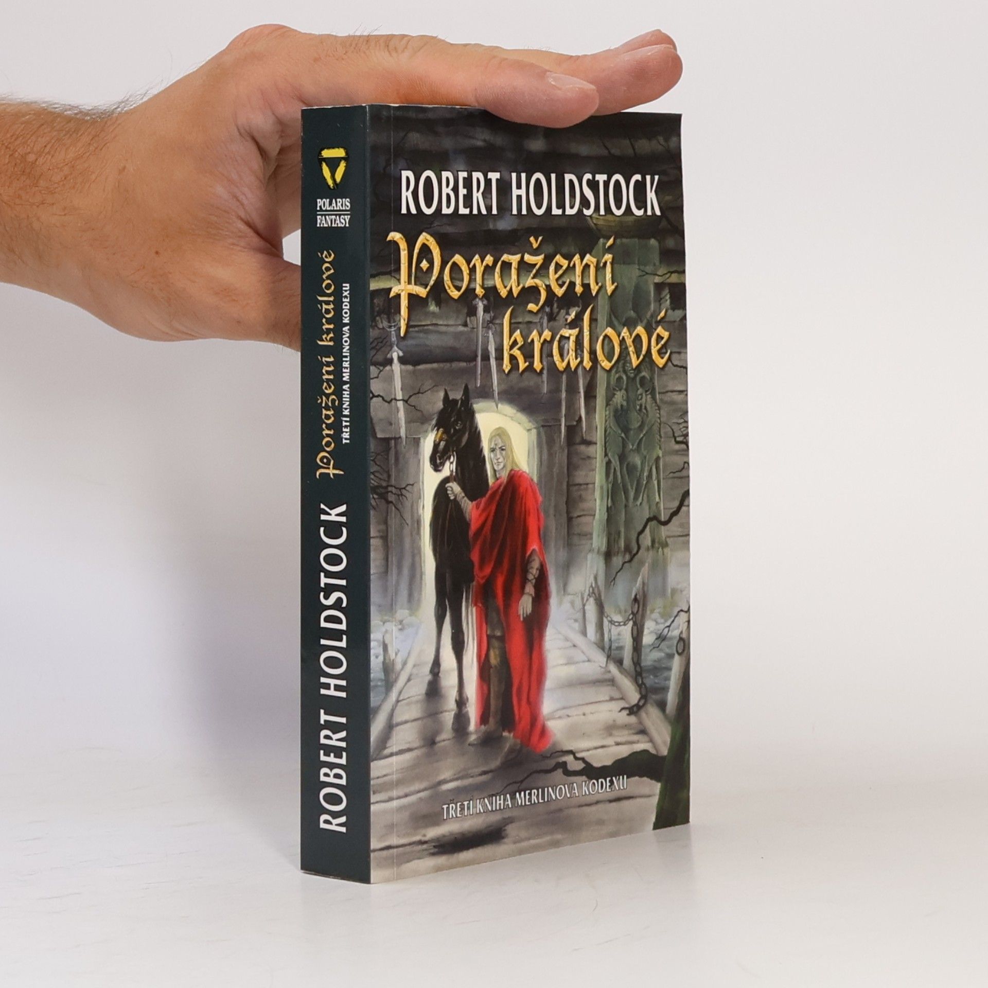 Robert Holdstock Poražení králové : třetí kniha Merlinova kodexu