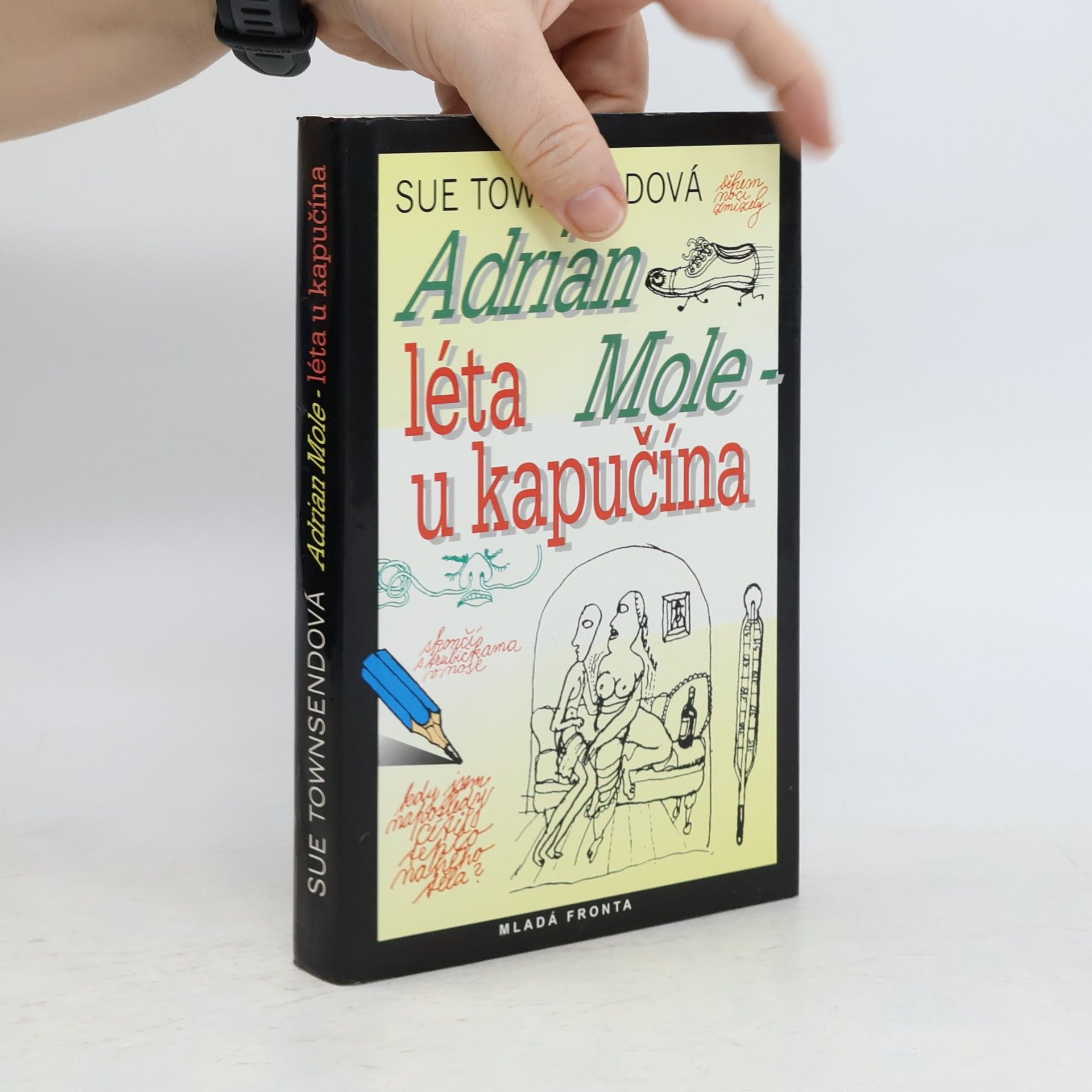 Sue Townsend Adrian Mole. Léta u kapučína