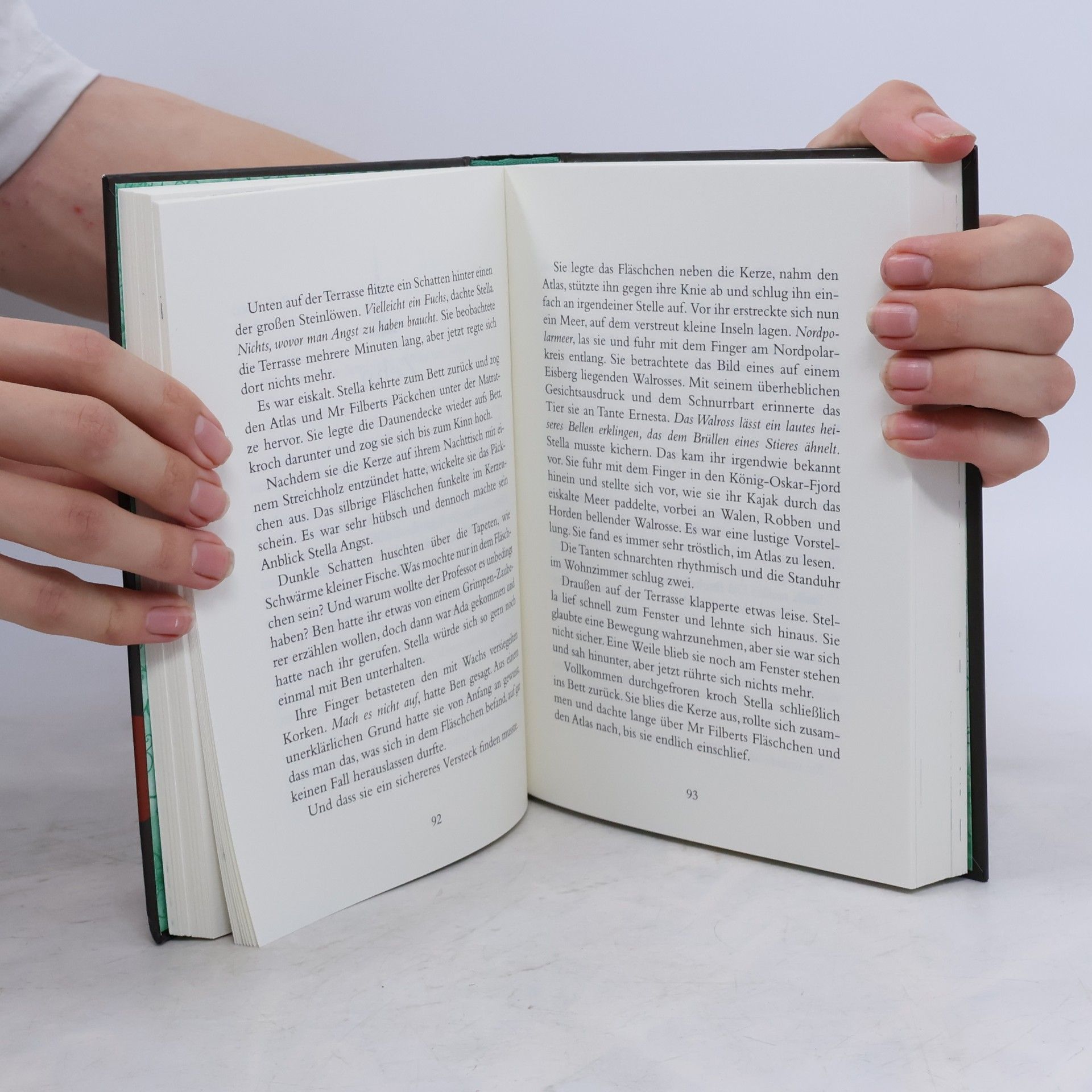 Judith Rossell Stella Montgomery und die bedauerliche Verwandlung des Mr Filbert