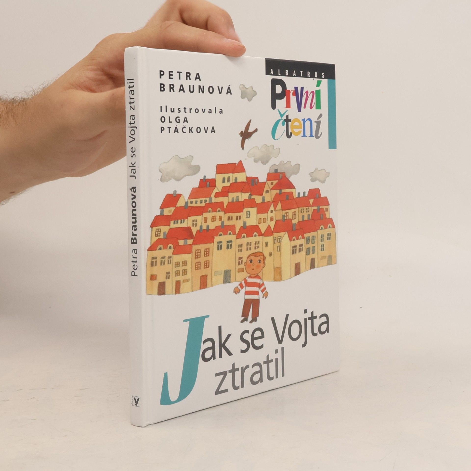 Petra Braun Groh Jak se Vojta ztratil