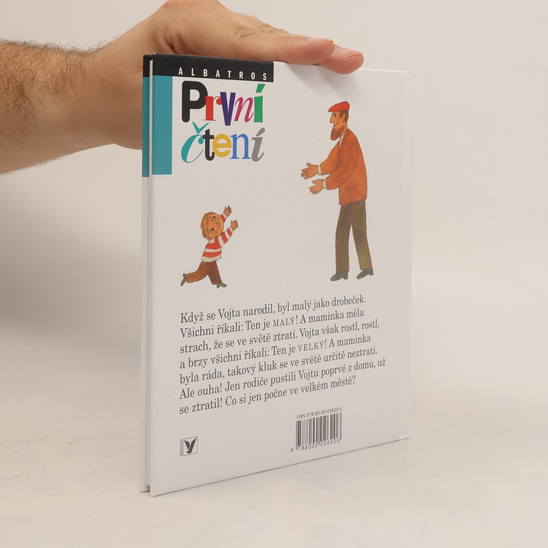 Petra Braun Groh Jak se Vojta ztratil