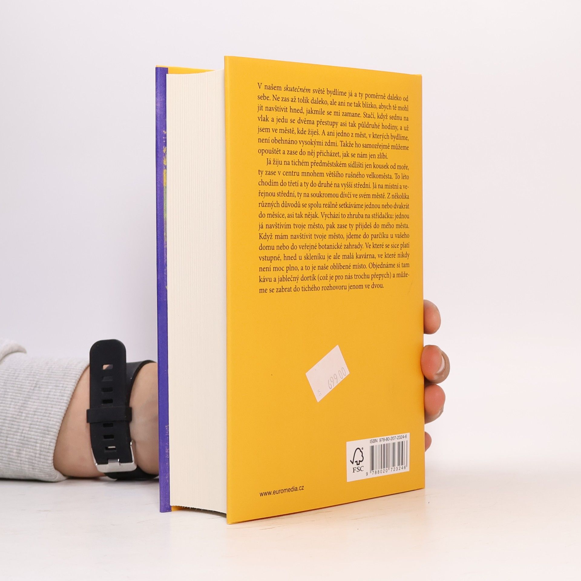 Haruki Murakami Město a jeho nejisté zdi
