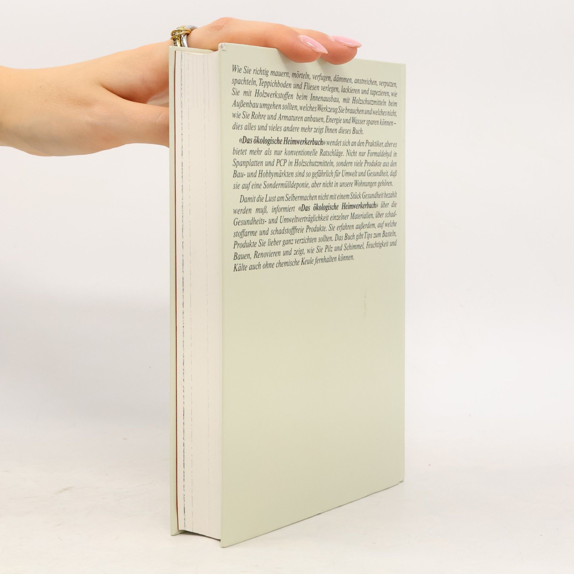 Ingke Brodersen Das ökologische Heimwerkerbuch