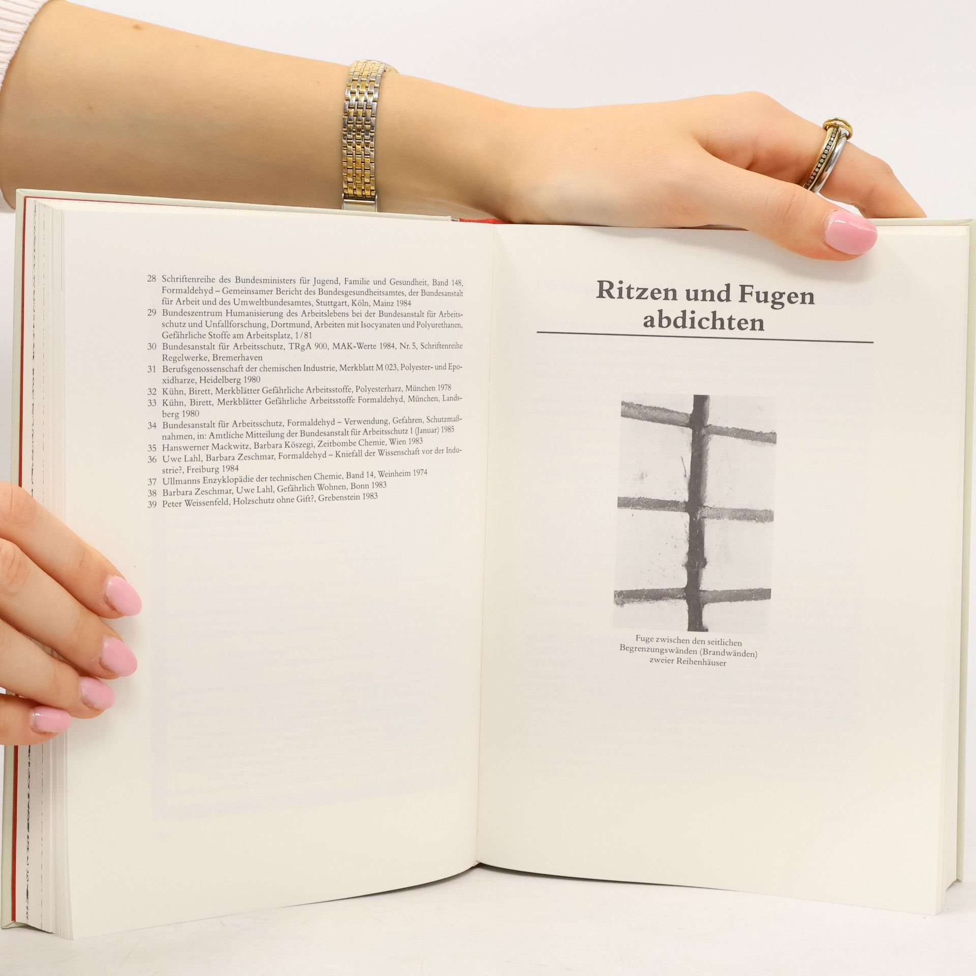 Ingke Brodersen Das ökologische Heimwerkerbuch