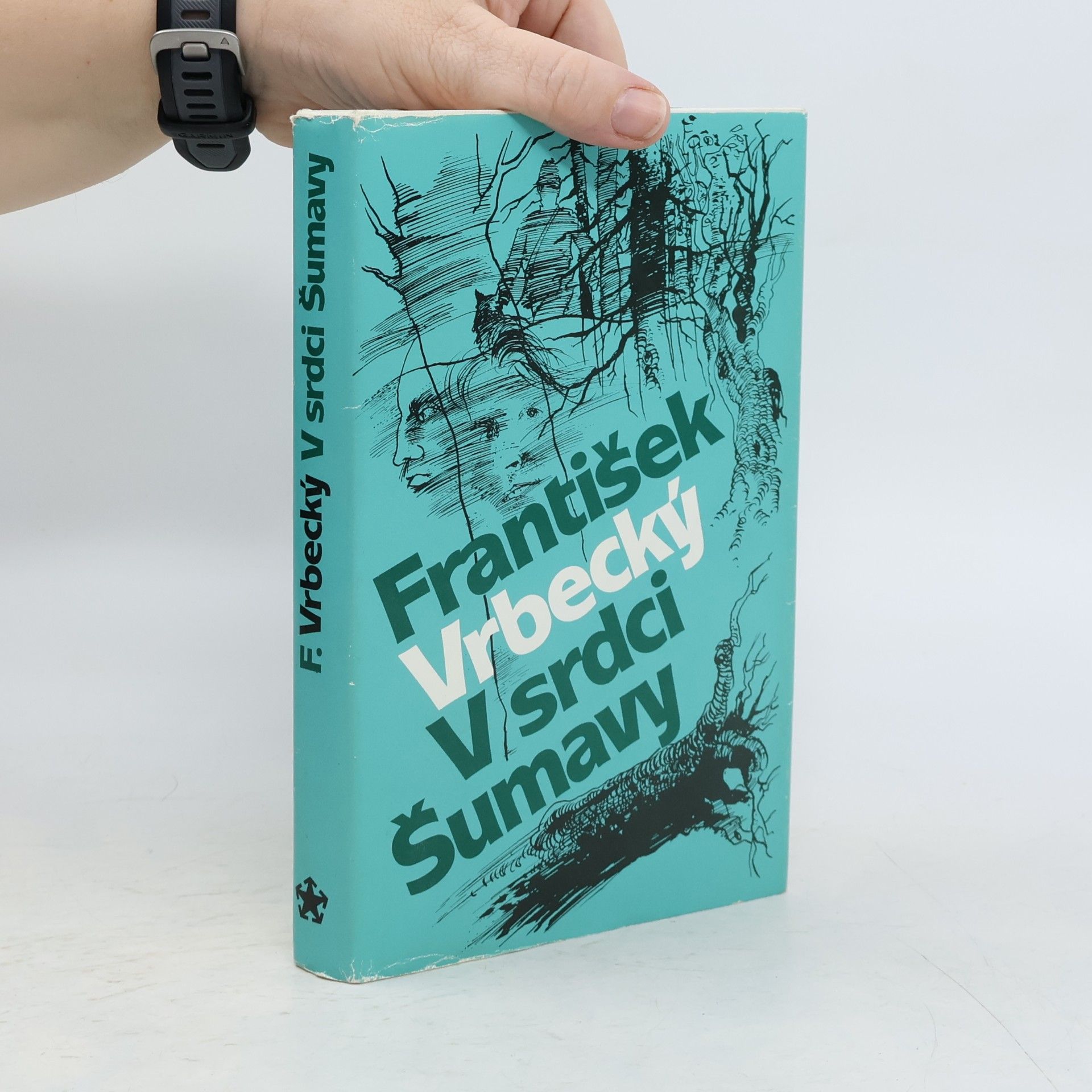František Vrbecký V srdci Šumavy