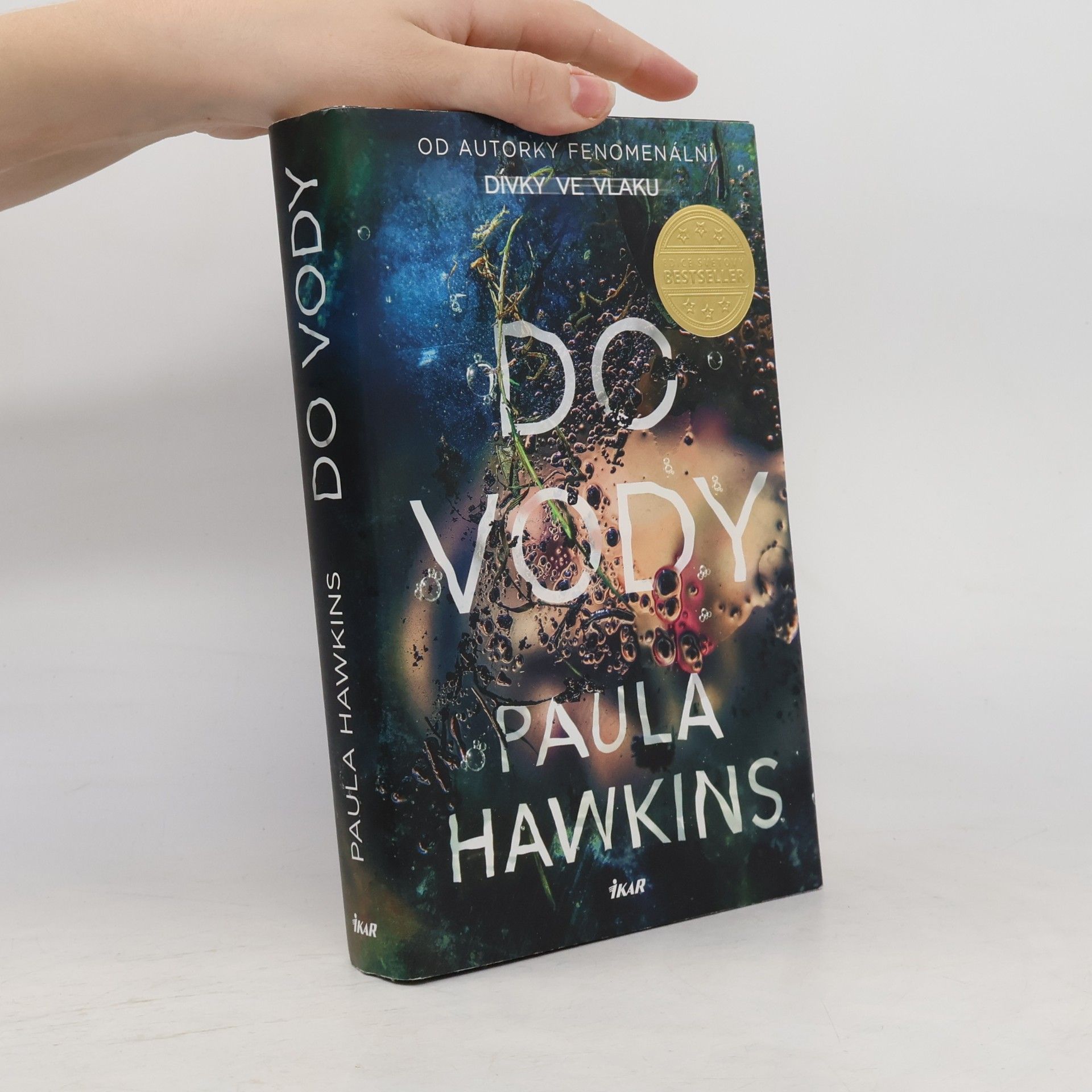 Paula Hawkins Do vody