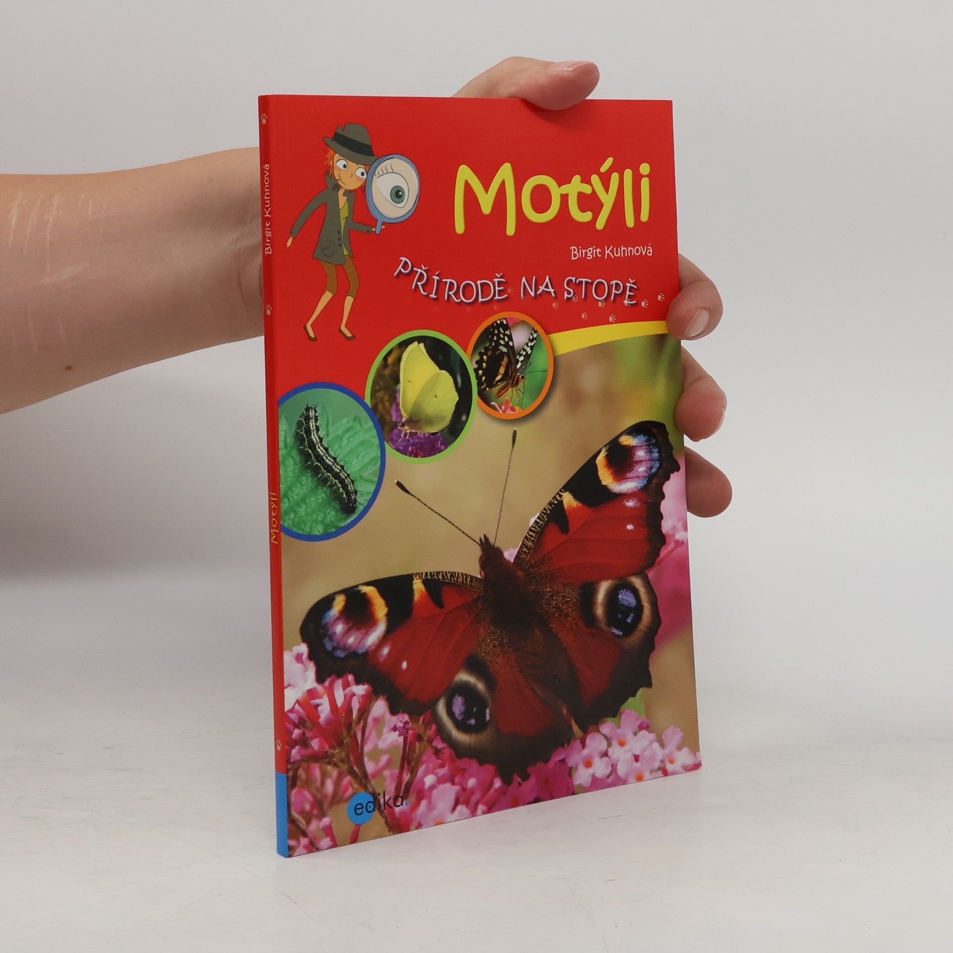 Motýli