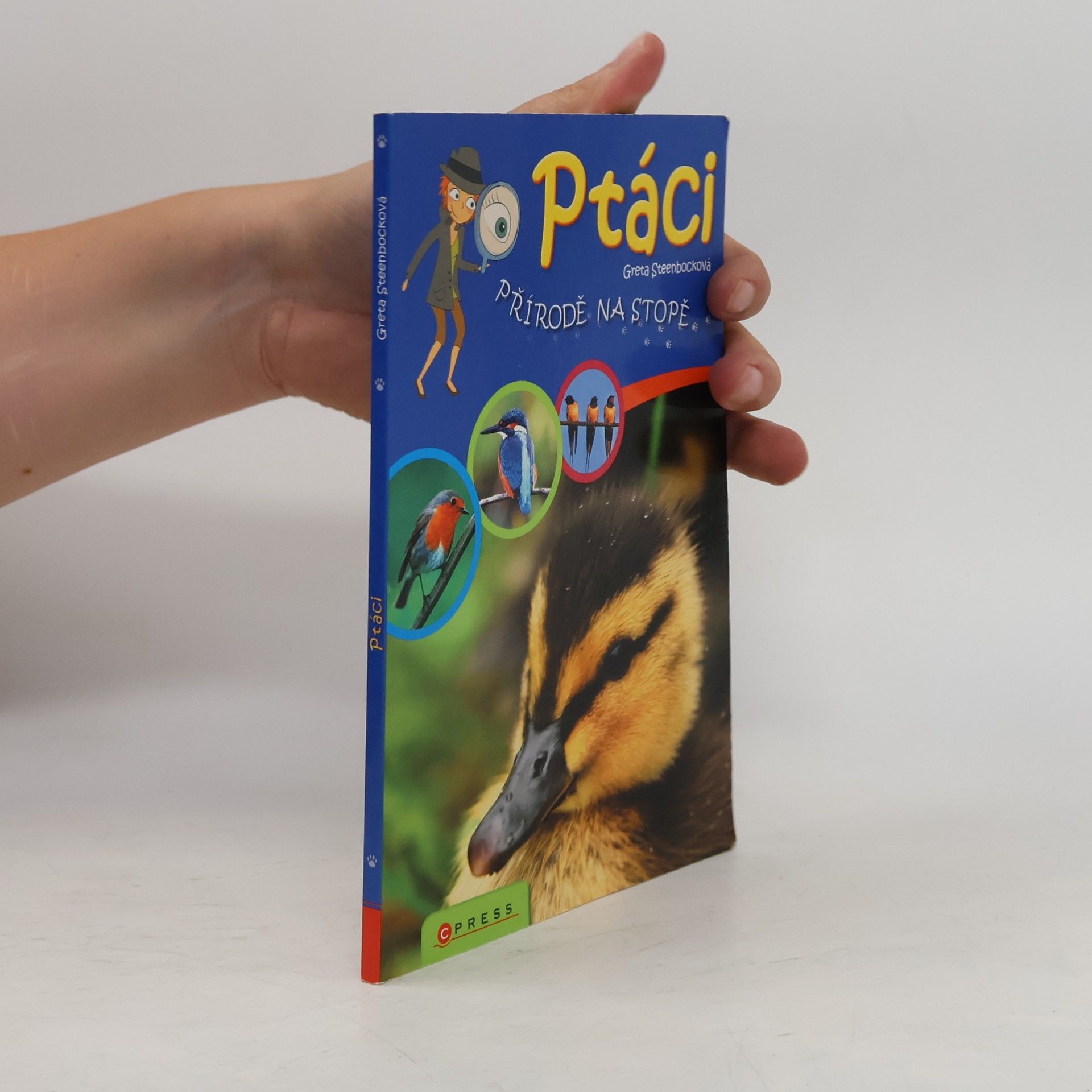 Greta Steenbock Ptáci