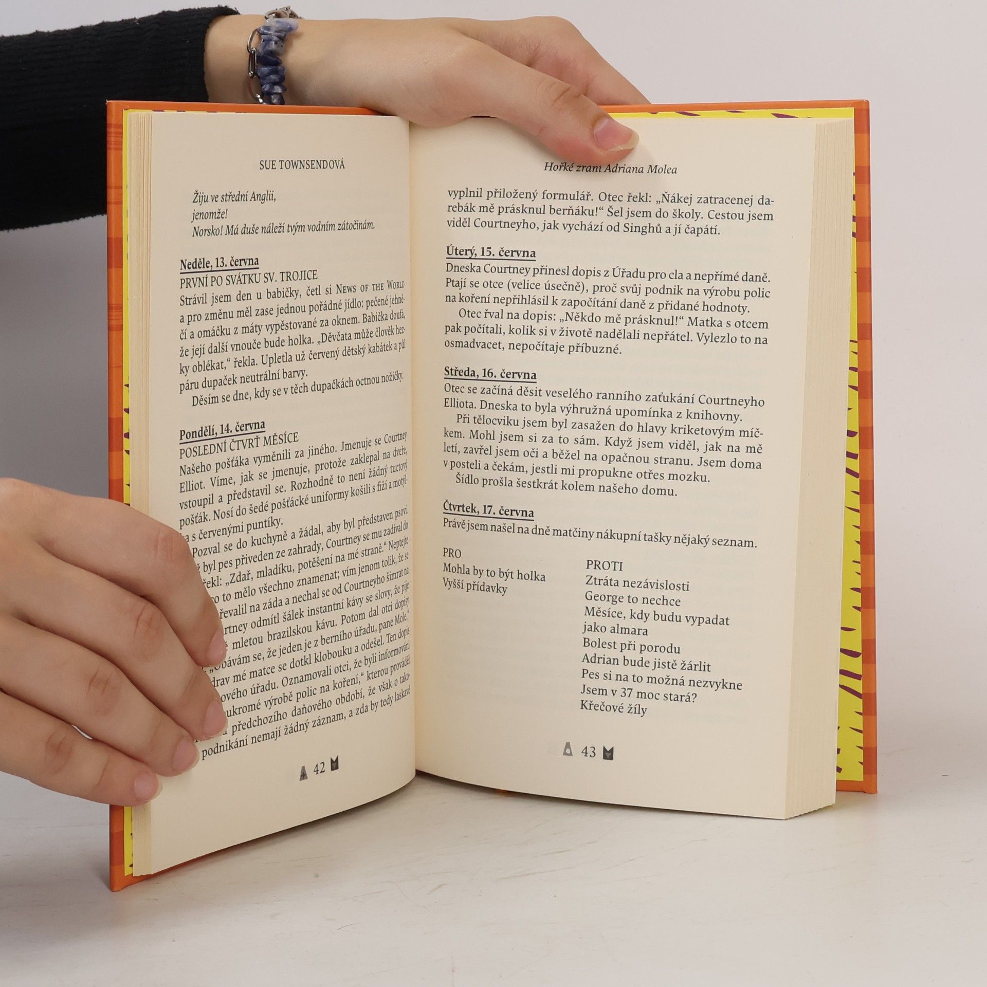 Sue Townsend Hořké zrání Adriana Molea