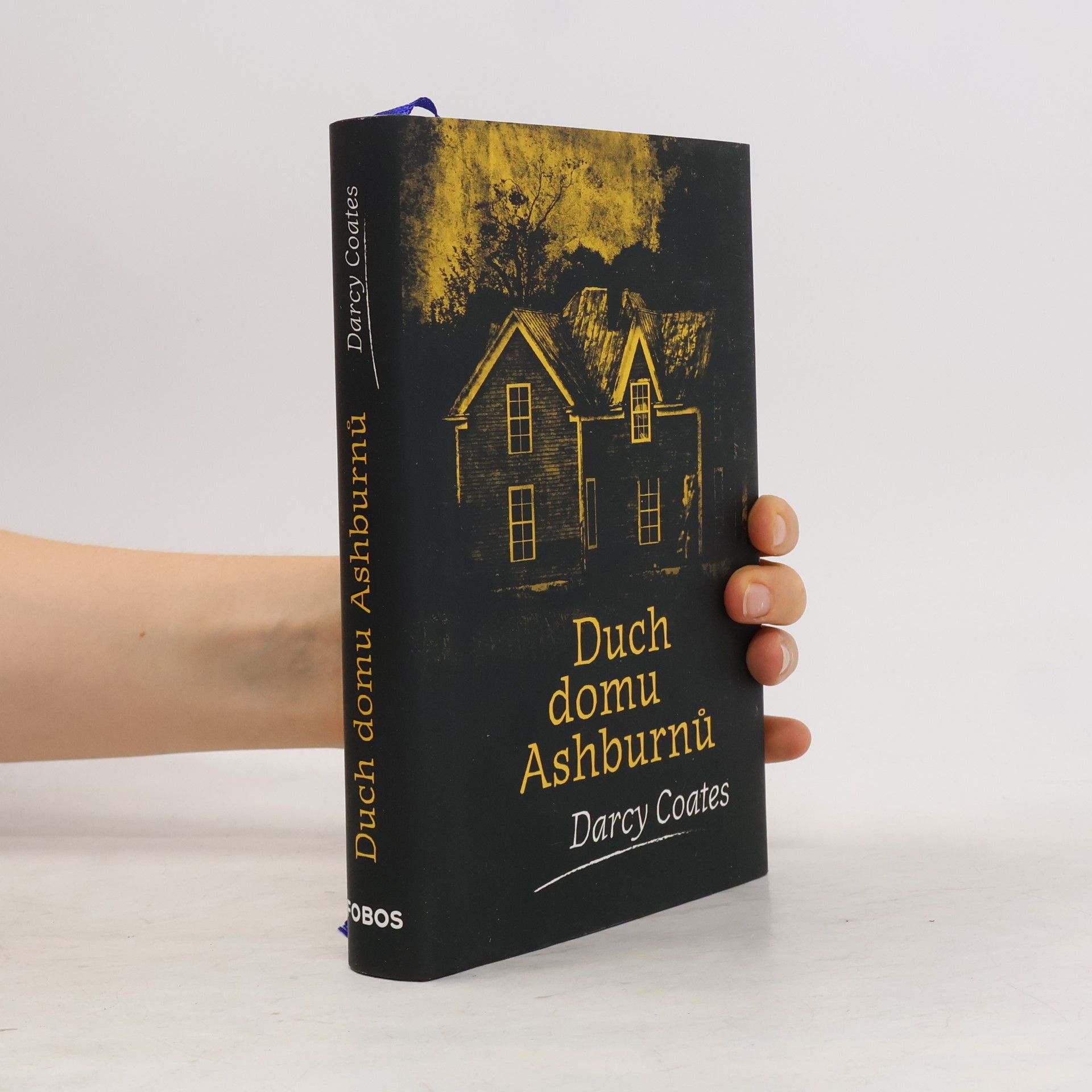 Darcy Coates Duch domu Ashburnů