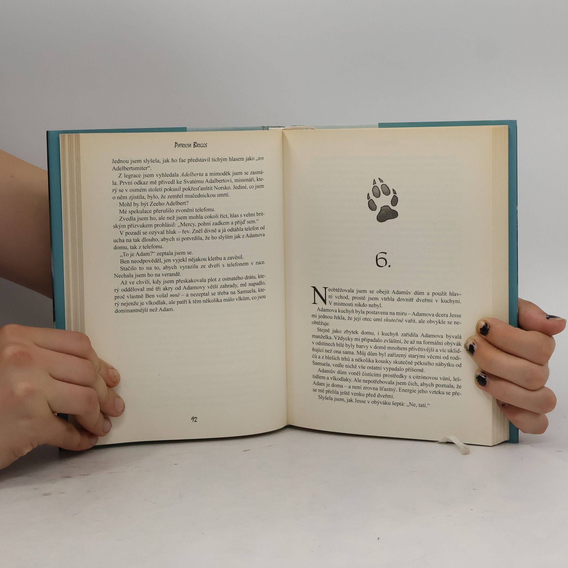 Patricia Briggs Železný polibek