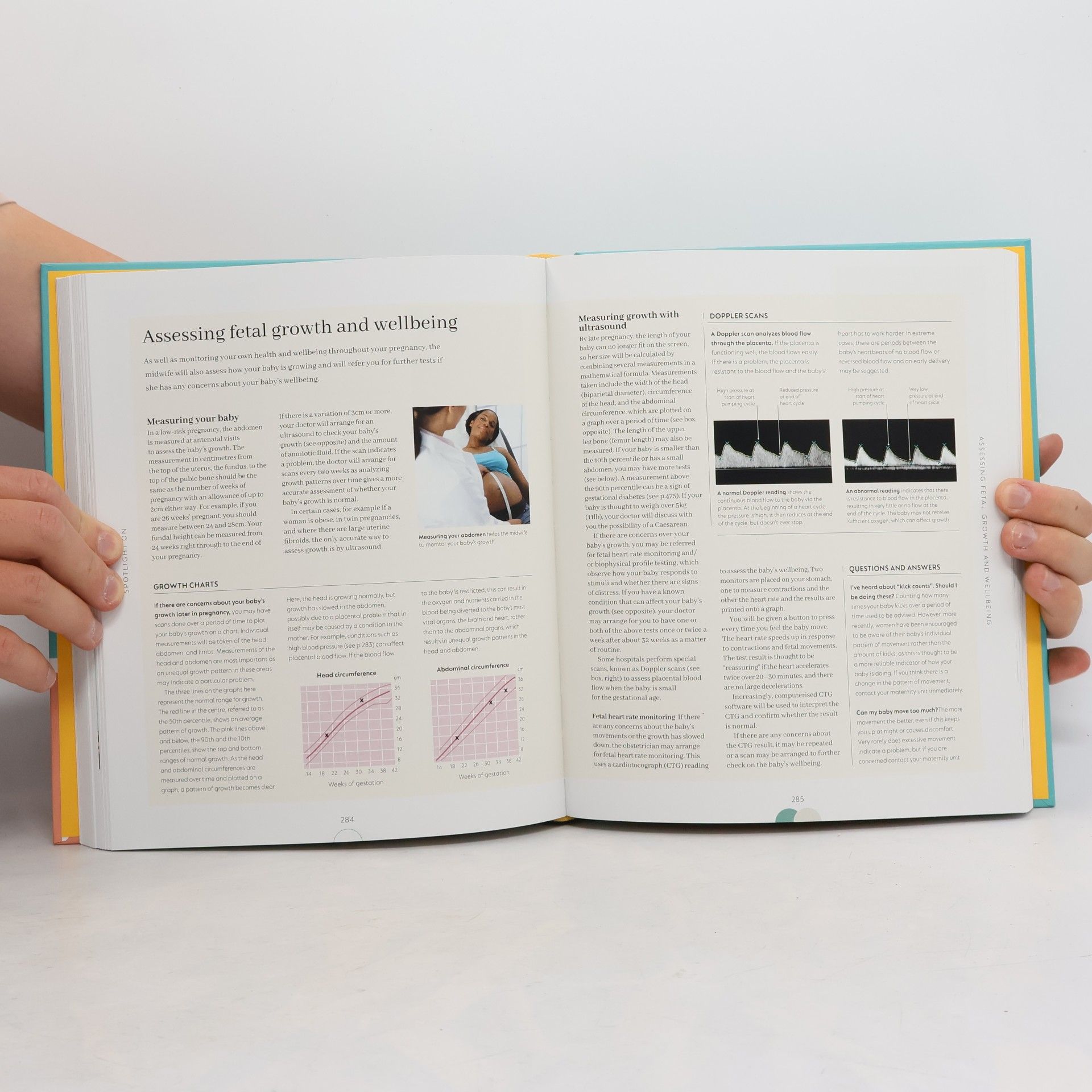 Penguin Books Ltd The Day-by-Day Pregnancy Book
