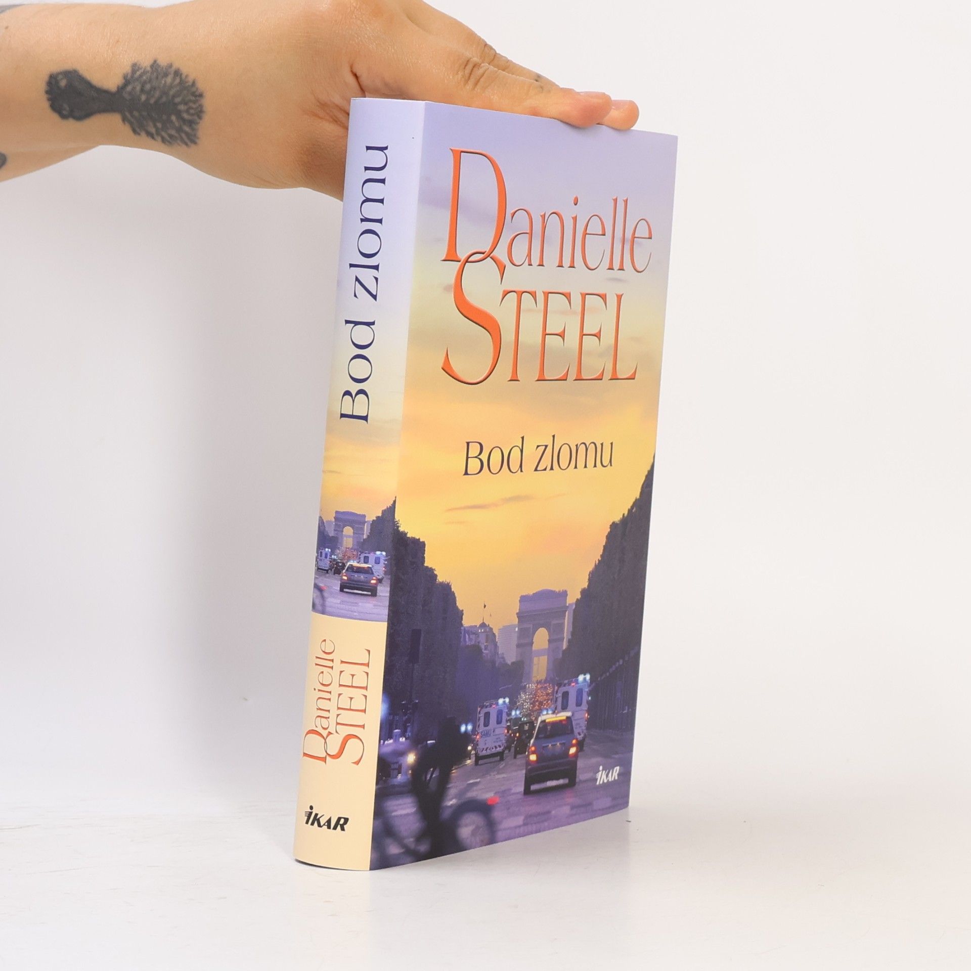 Danielle Steel Bod zlomu