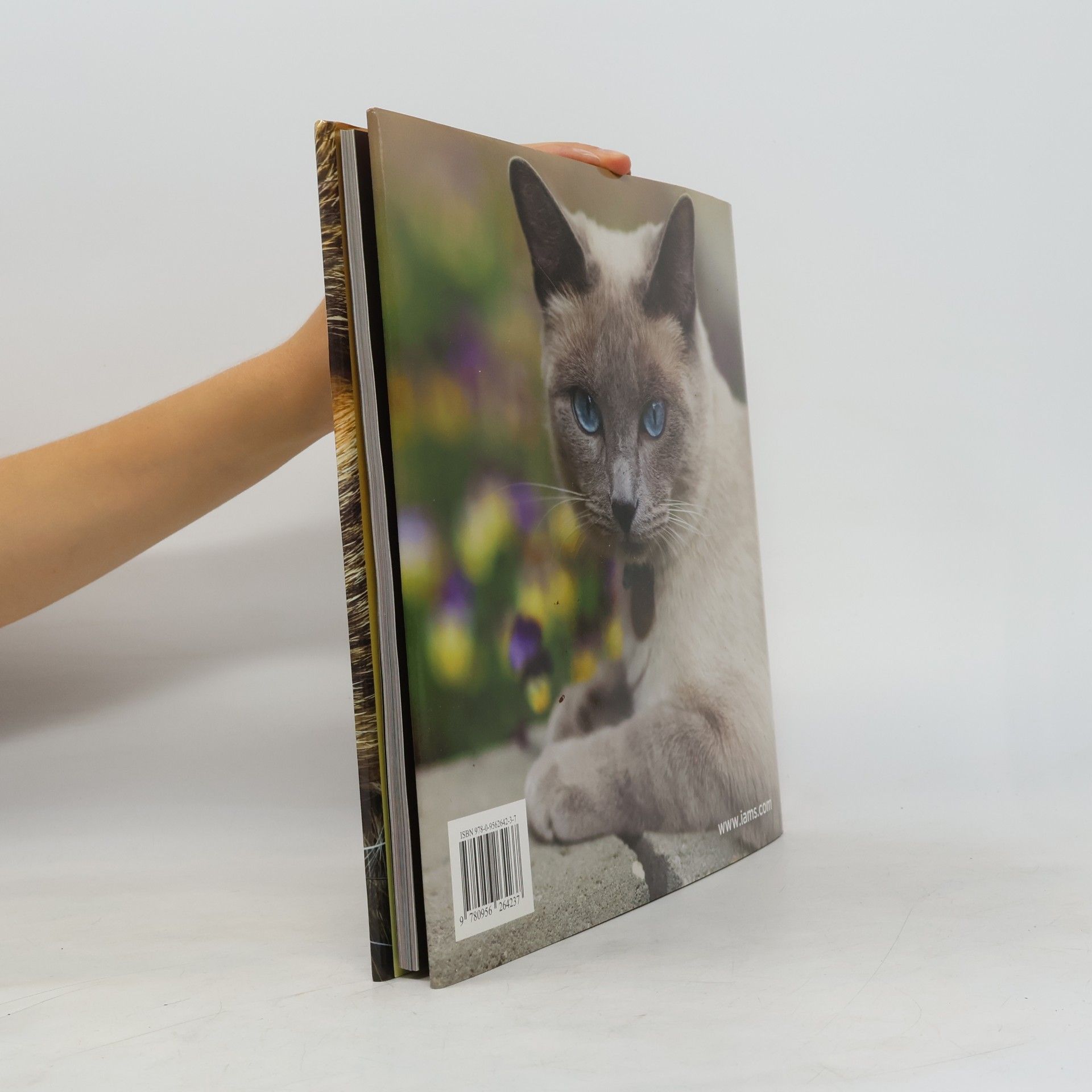 Autorenkollektiv Cats