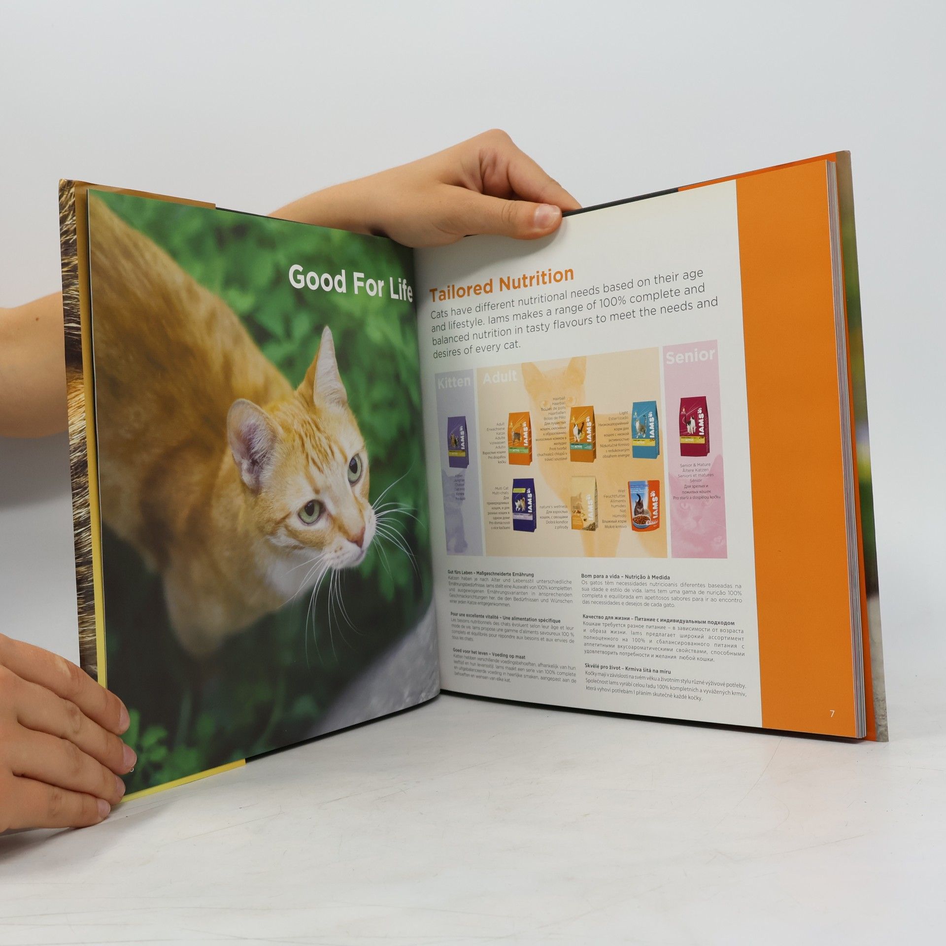 Autorenkollektiv Cats
