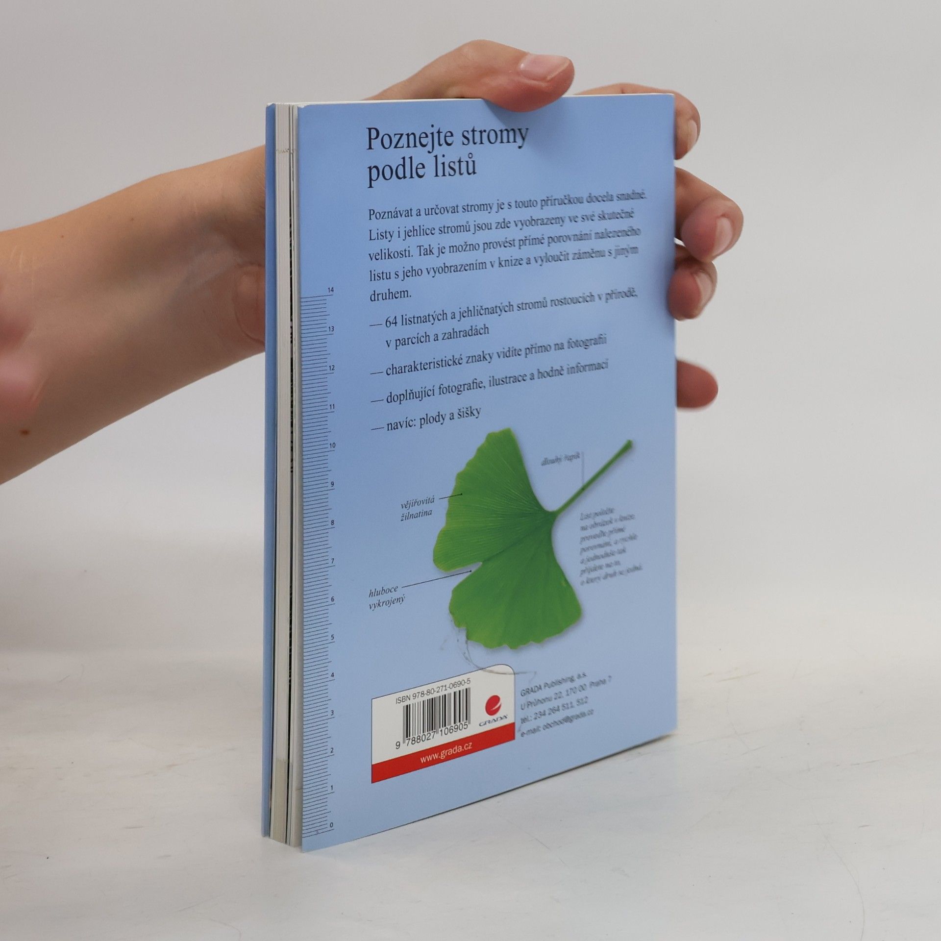 Meike Bosch Poznejte stromy podle listů