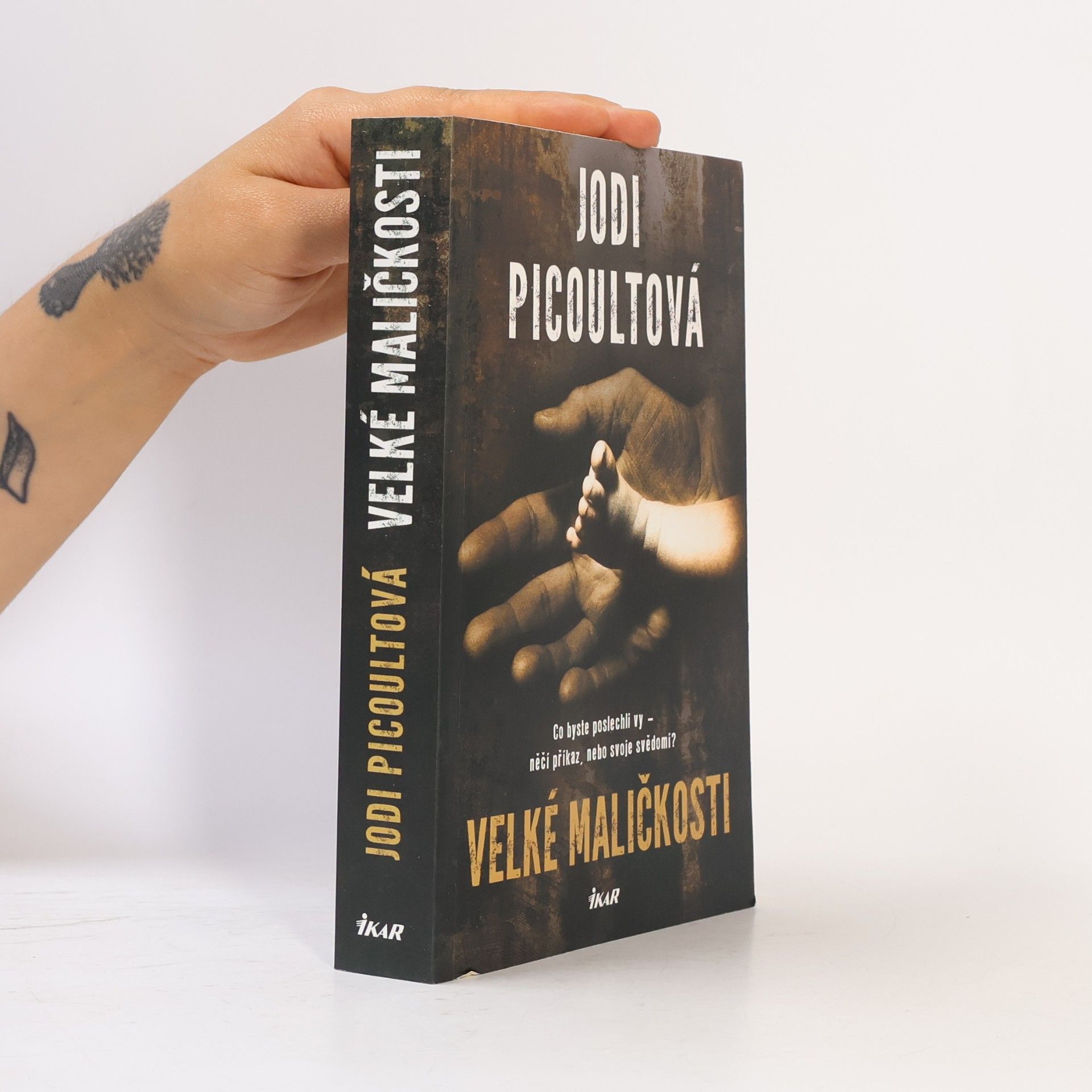 Jodi Picoult Velké maličkosti