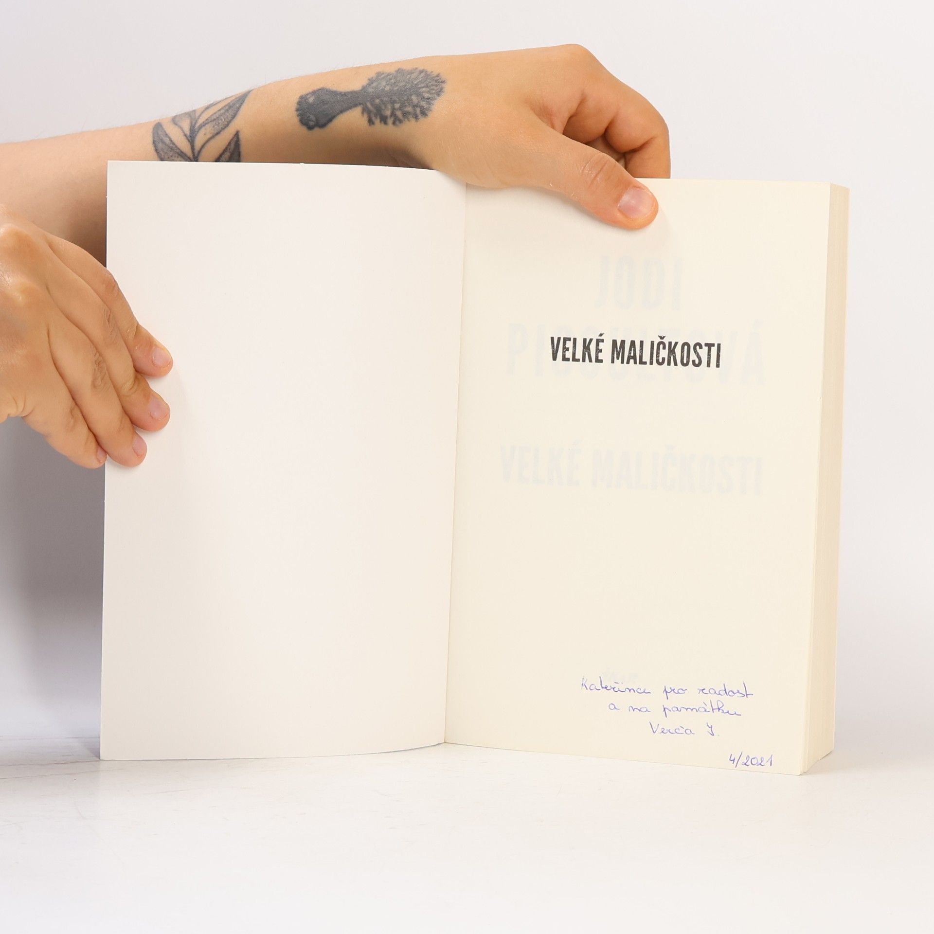 Jodi Picoult Velké maličkosti