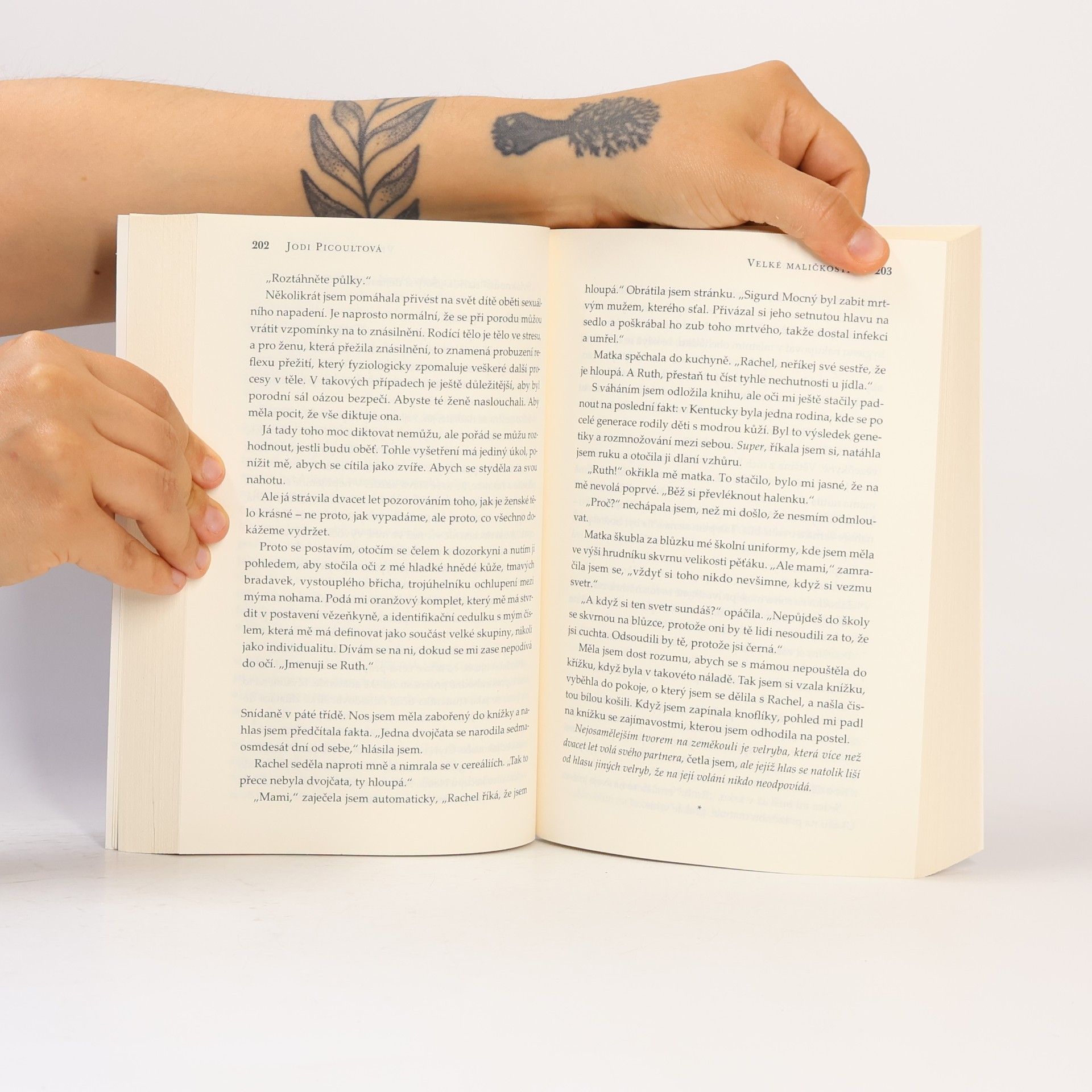 Jodi Picoult Velké maličkosti